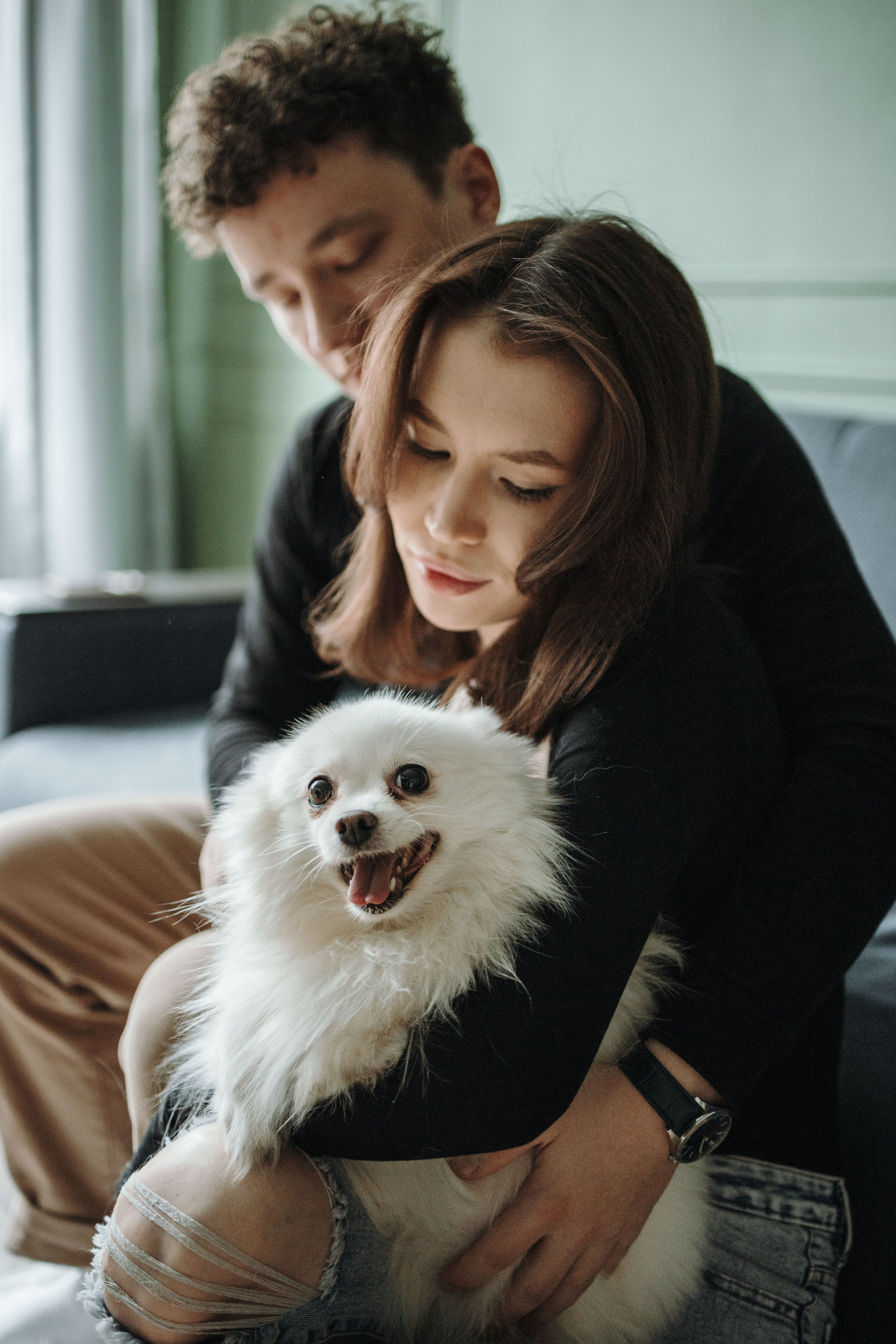 Шпиц Мася и ее семья