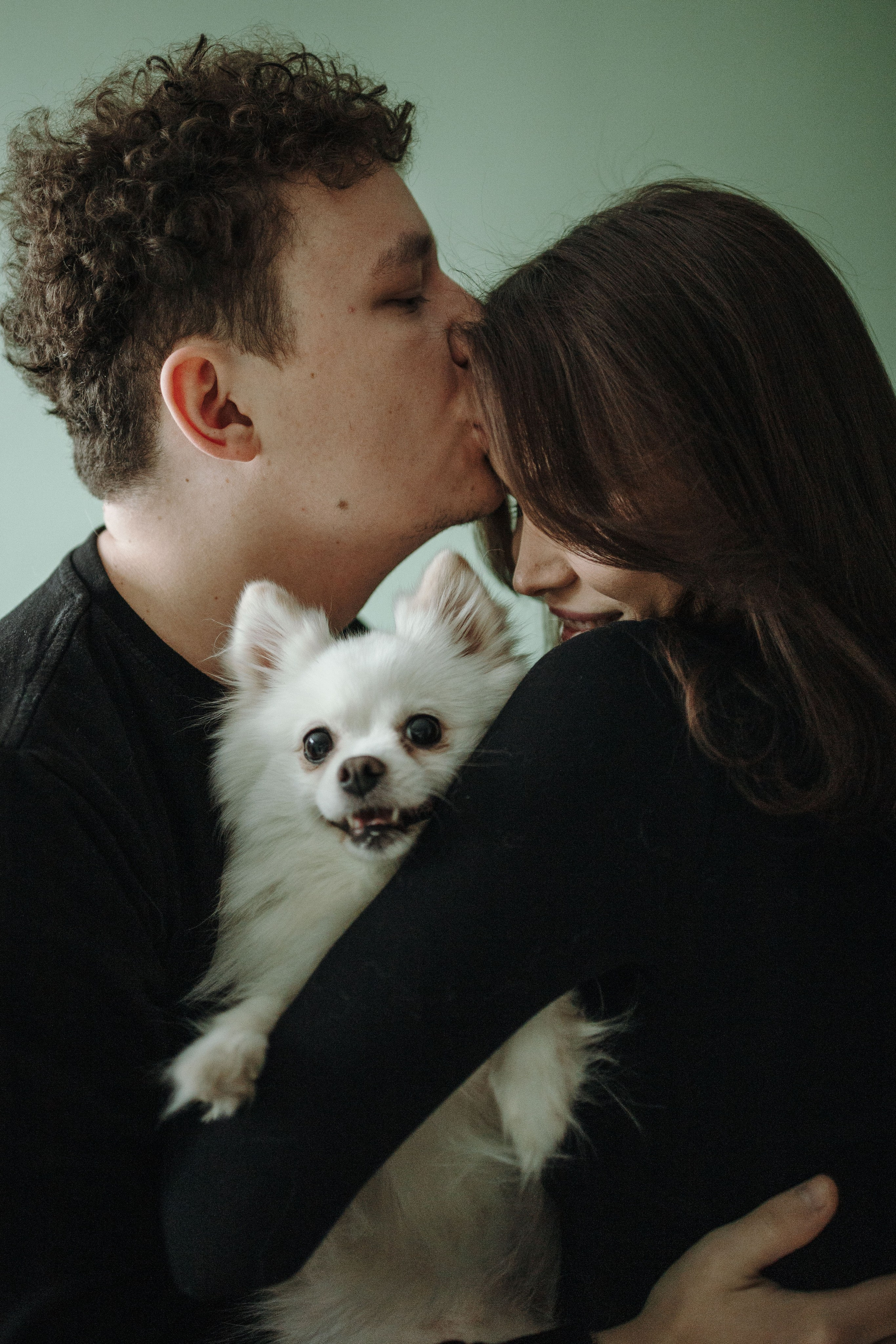 Шпиц Мася и ее семья