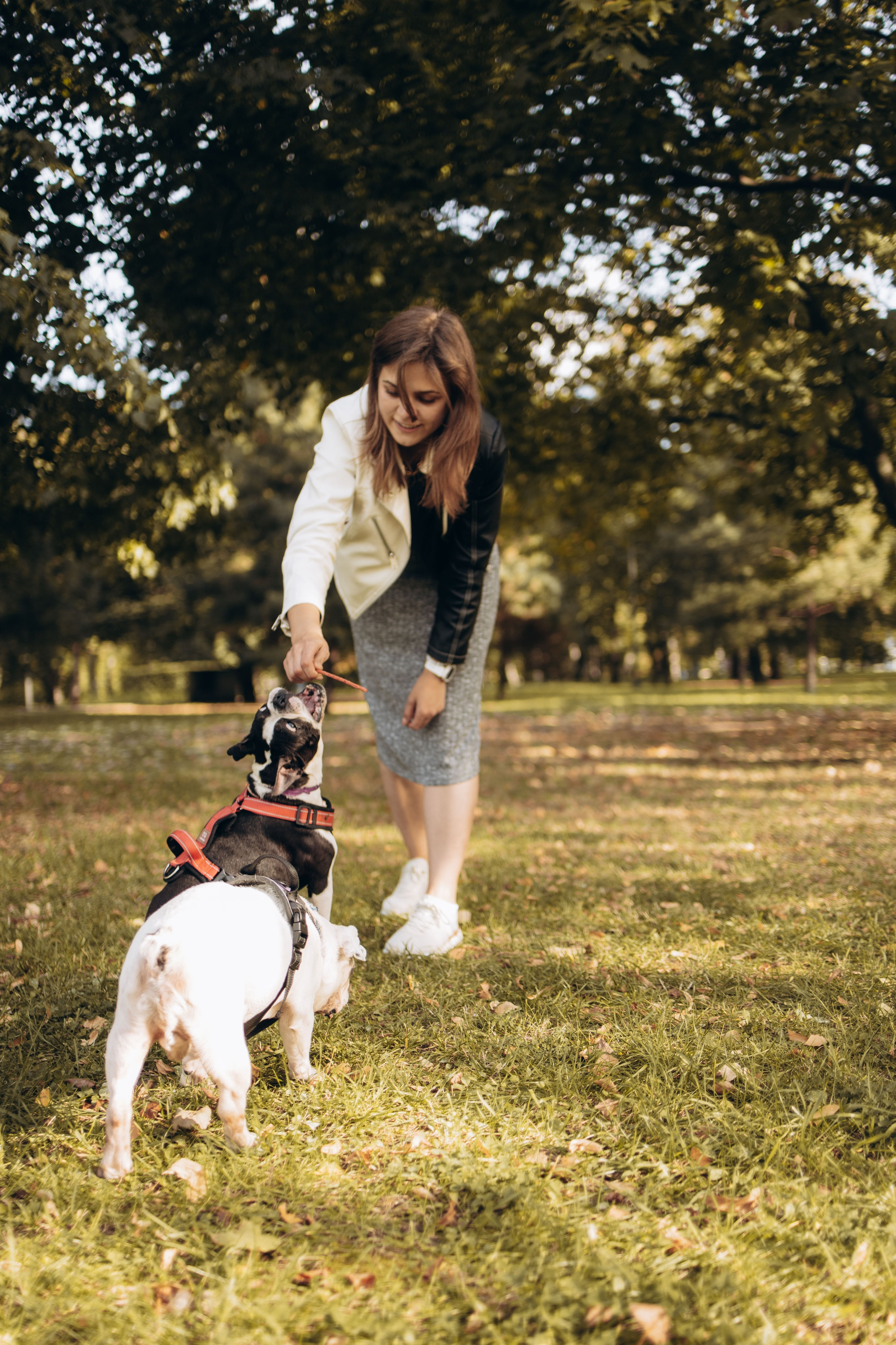 Оля и бульдоги