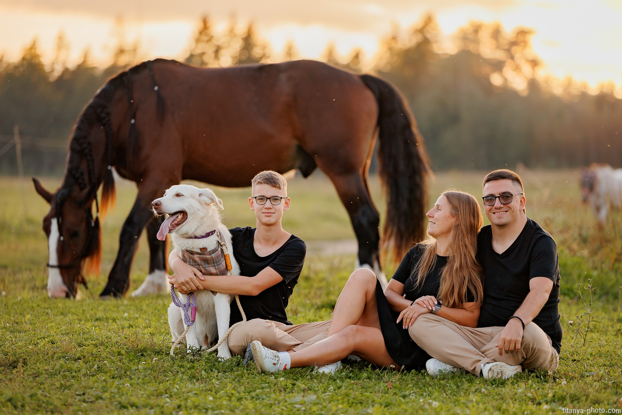 Закатная семейная фотосессия: про Настю и её дружную семью. Фотограф собак, фотограф-анималист Аня Титова (Titanya). Москва
