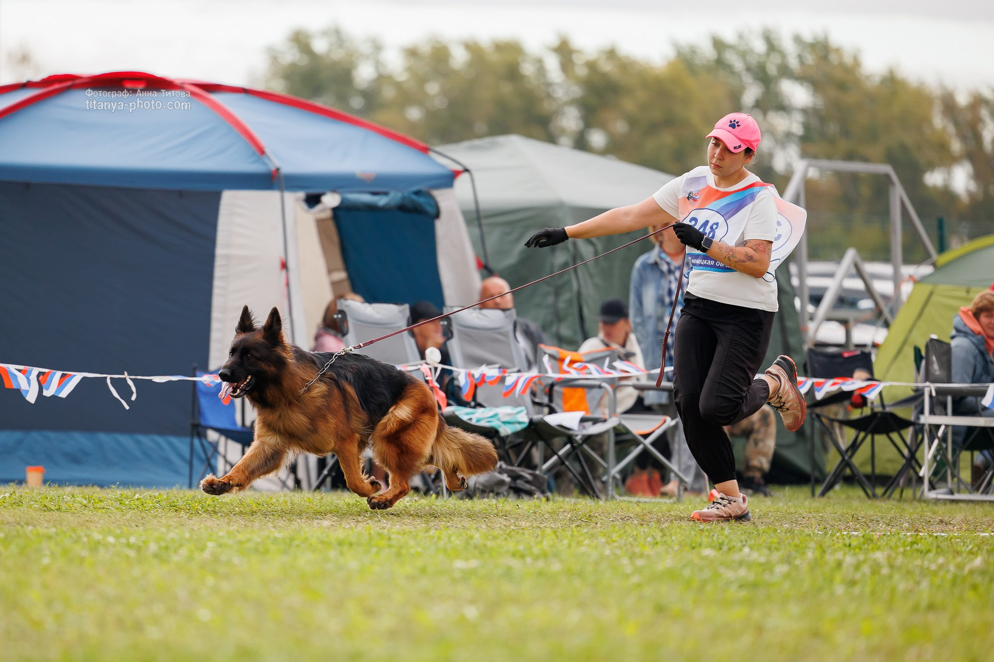 Немецкие овчарки: фото из рингов и вне ринга, мутпроба (фотографии с выставок). Фотограф собак, фотограф-анималист Аня Титова (Titanya). Москва
