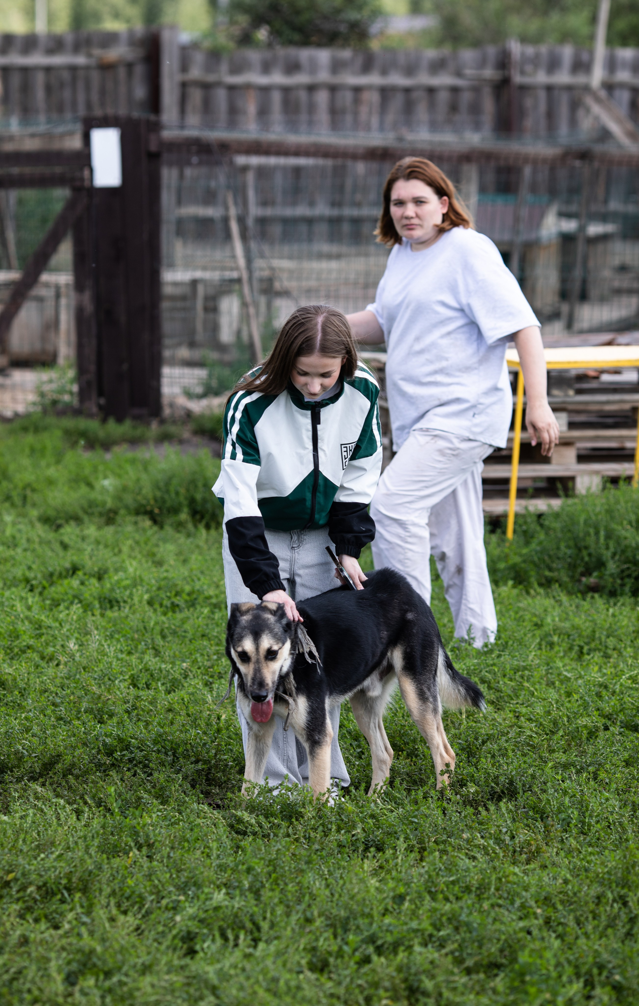 Приют — Наш дом. Репортажный и свадебный фотограф в Челябинске Елисеев Павел