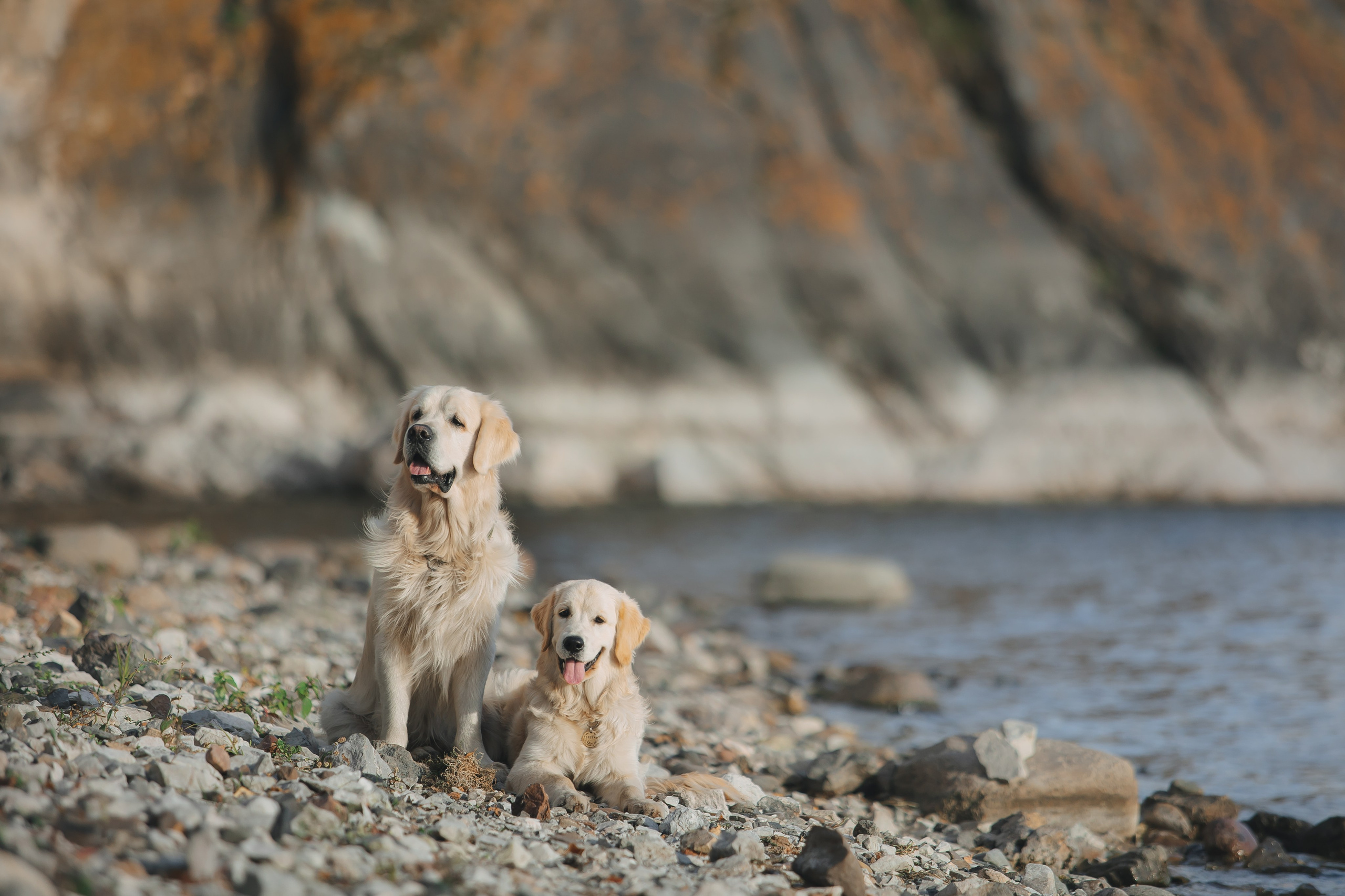 Снежик и Веста. Свадебный и женский фотограф
