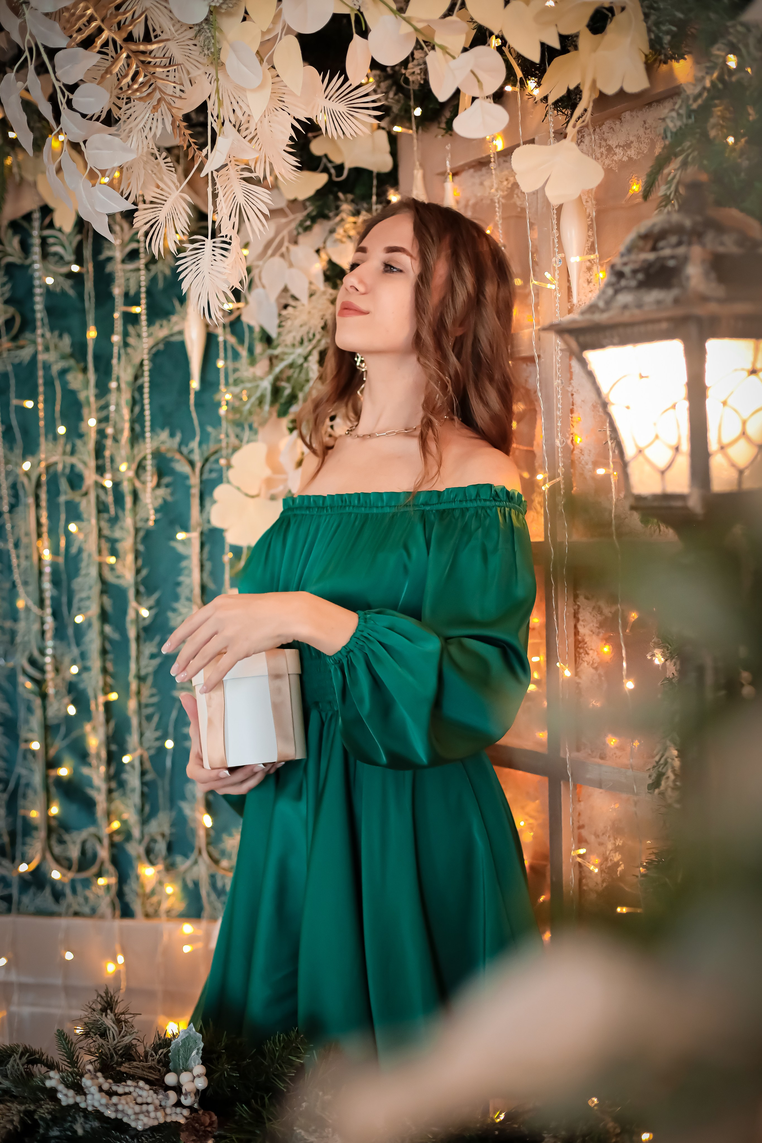 НОВОГОДНИЕ ФОТОСЕССИИ. Фотограф г. Хабаровск. Семейные и индивидуальные съёмки