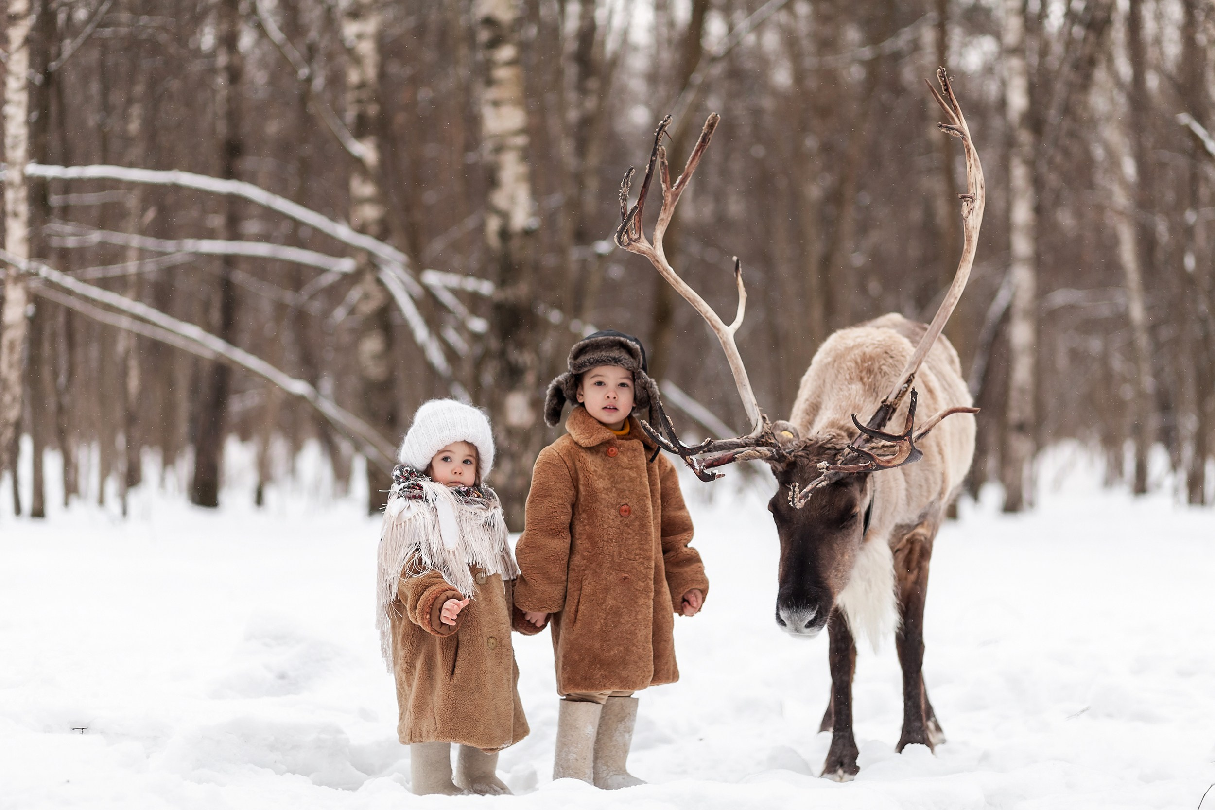 Детская фотосессия зимой с северным оленем
