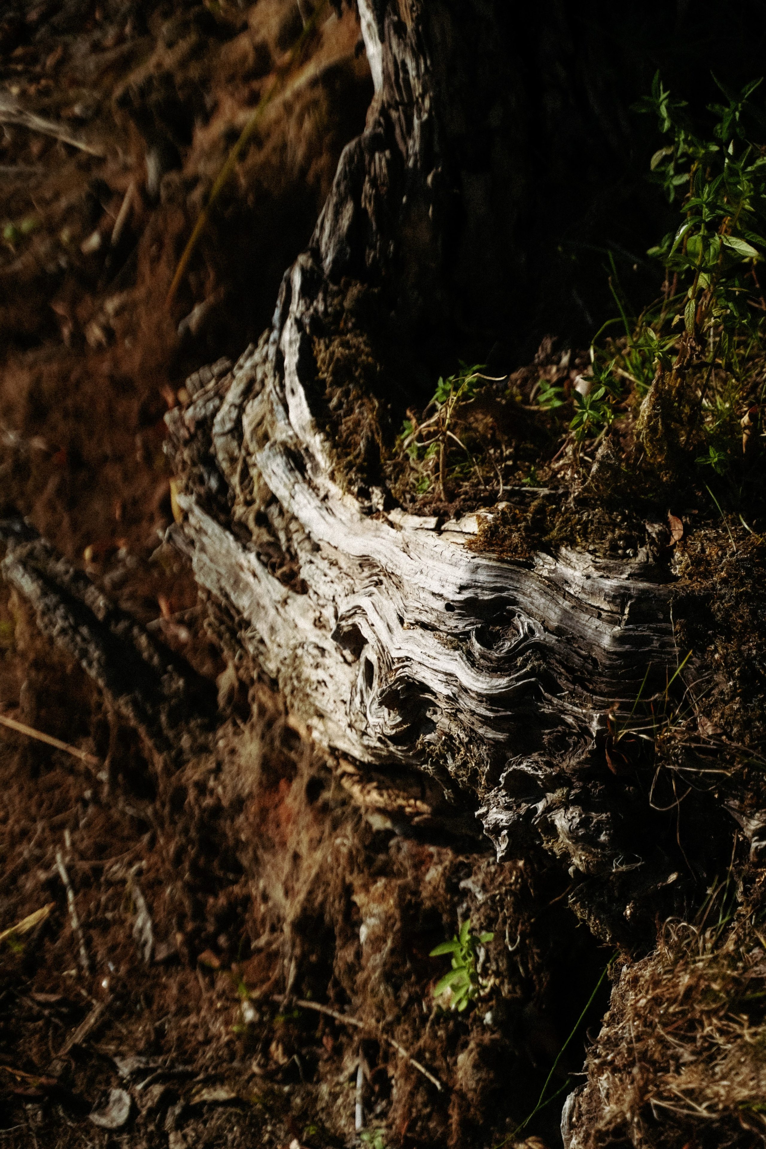 Творчество