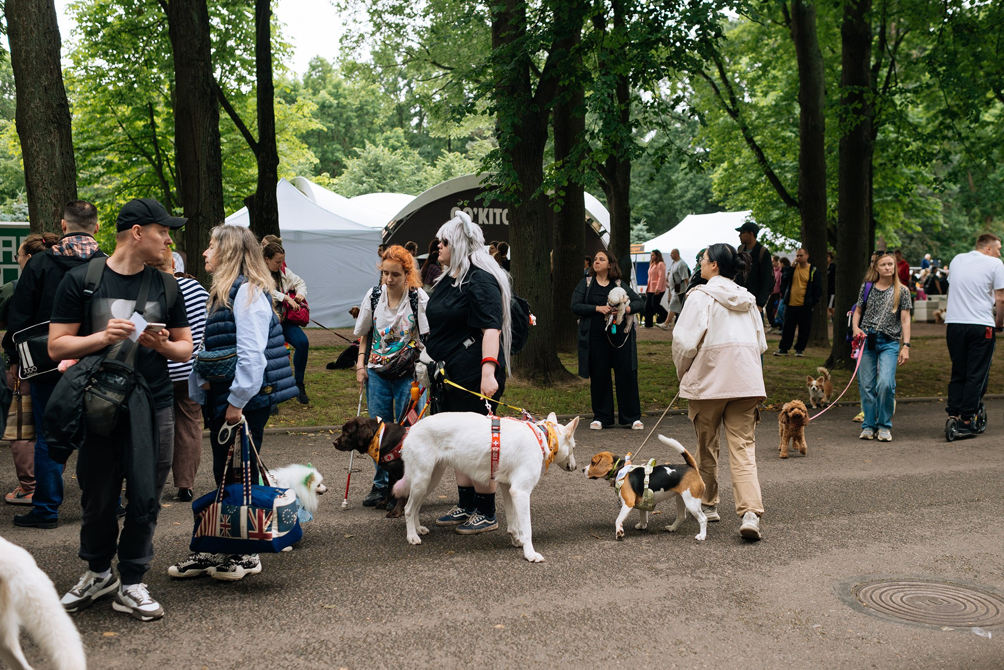 PETSHOP DAYS. Июнь 26. Репортажный фотограф в Санкт-Петербурге Анастасия Клёпова