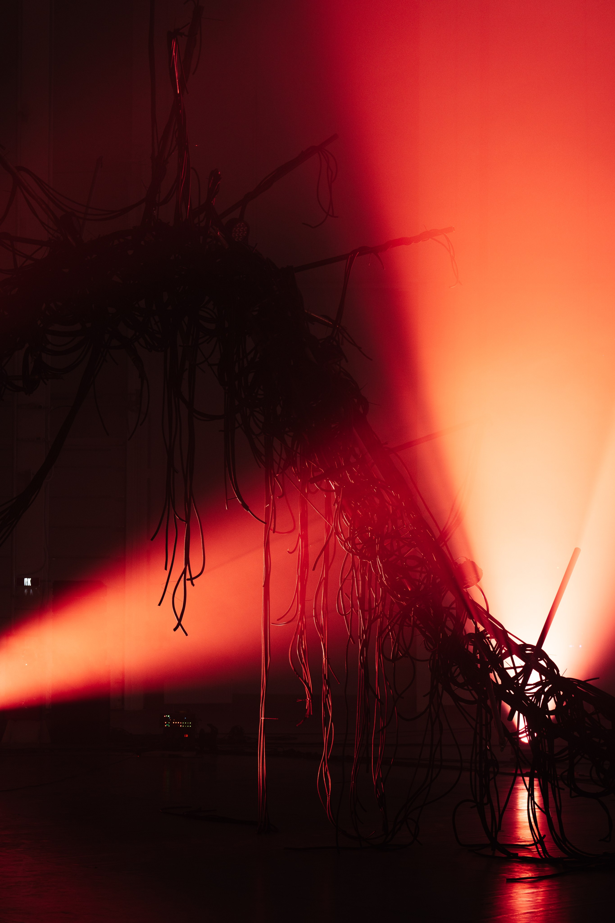 PANTERRA, CHRONOMORPH 001. @tomrus: Рустам Шагиморданов — фотограф