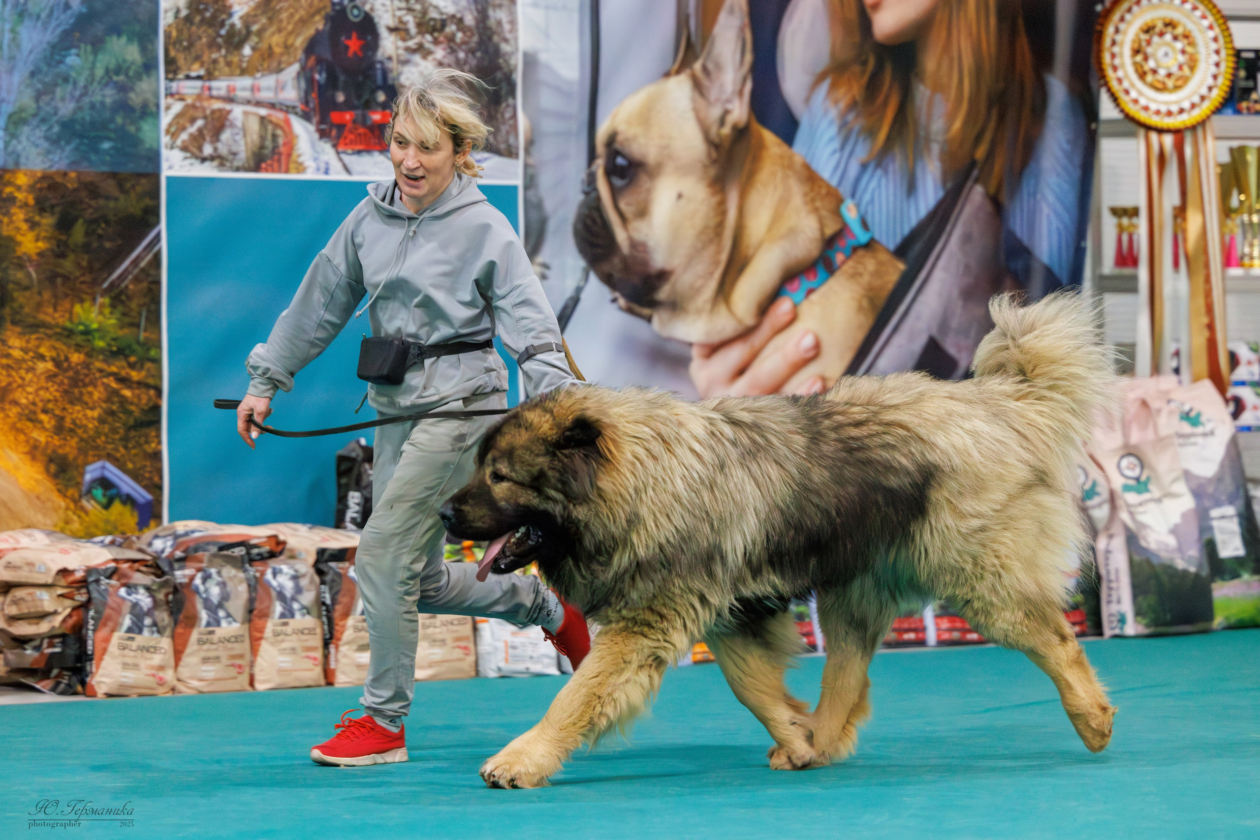 Гран-При 8.02.2025 и Крокус 09.02.2025. Фотограф-анималист Юлия Германика