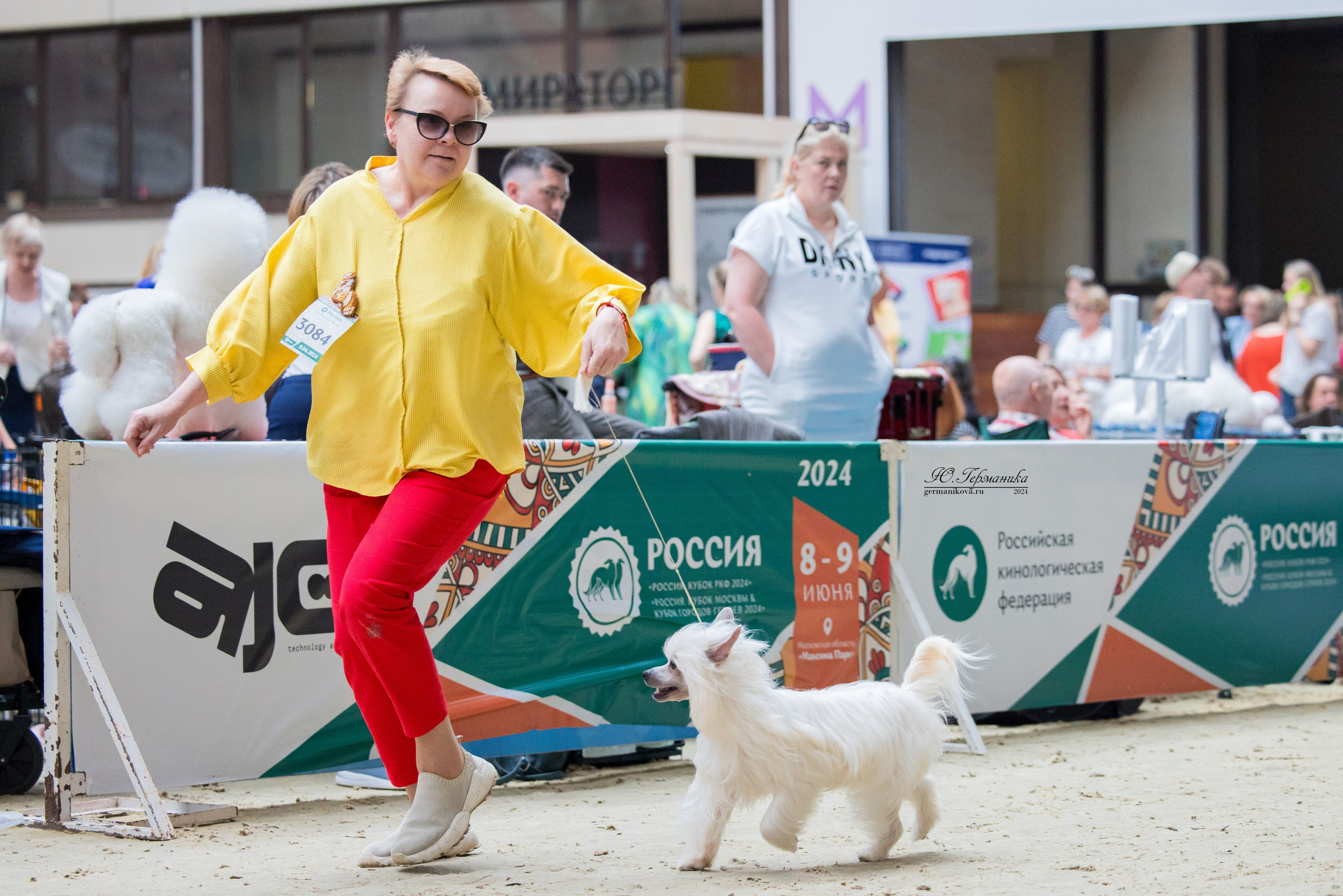 РОССИЯ 8-9.06.2024. Фотограф-анималист Юлия Германика