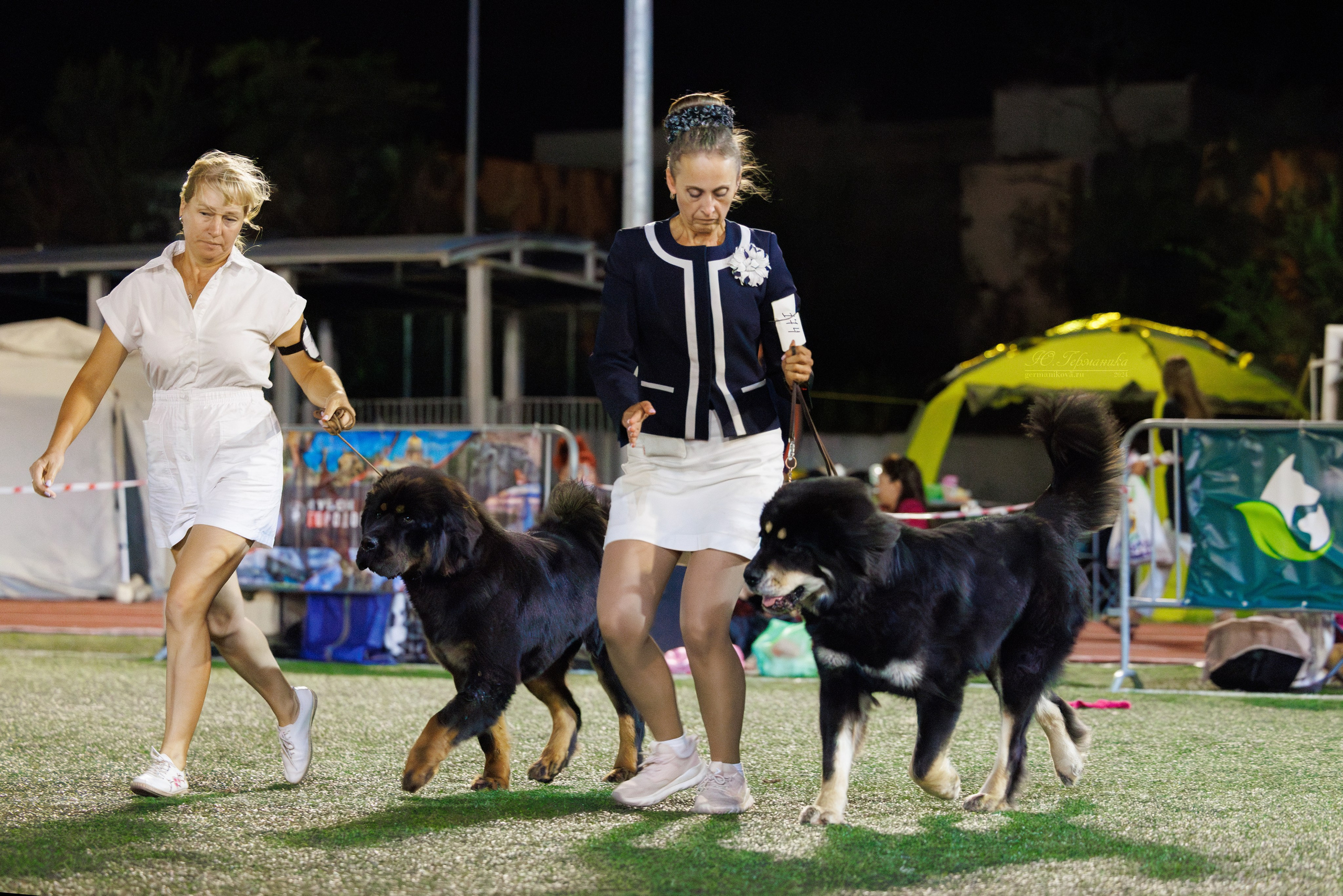 Волгоград 2-4.08.2024. Фотограф-анималист Юлия Германика