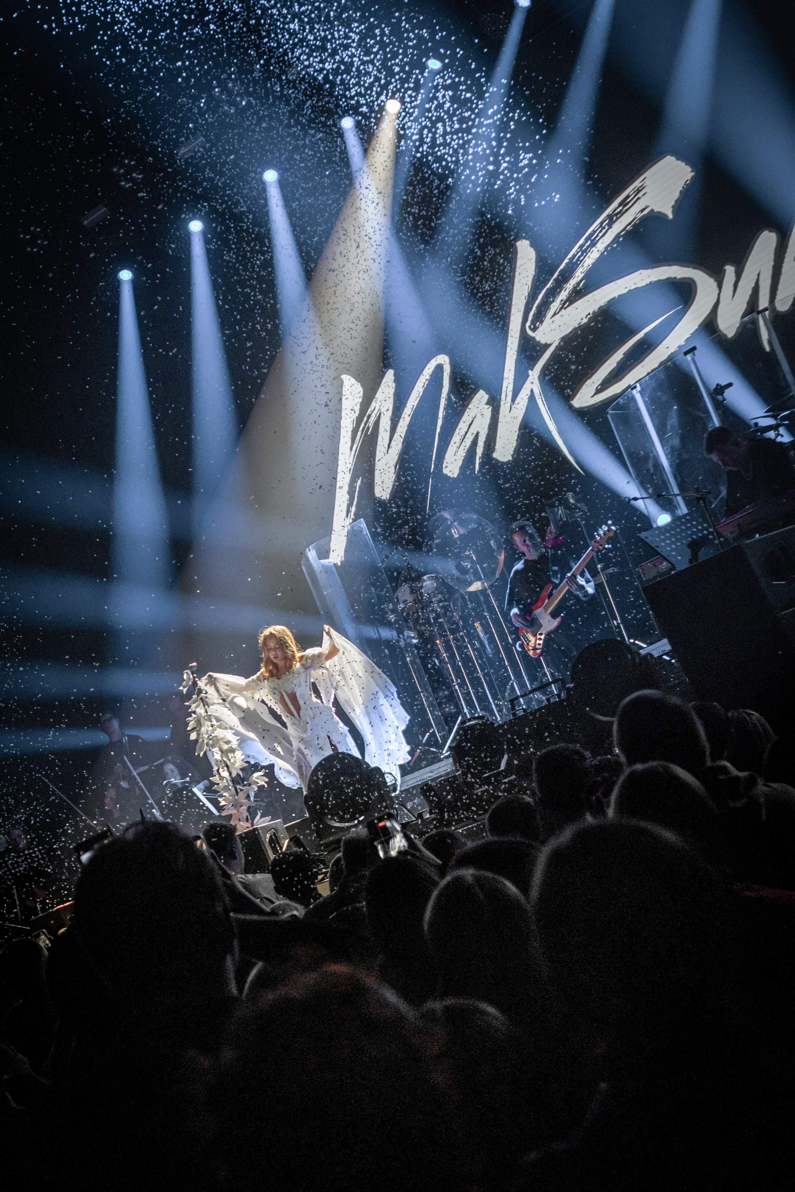 МакSим. Концертный фотограф