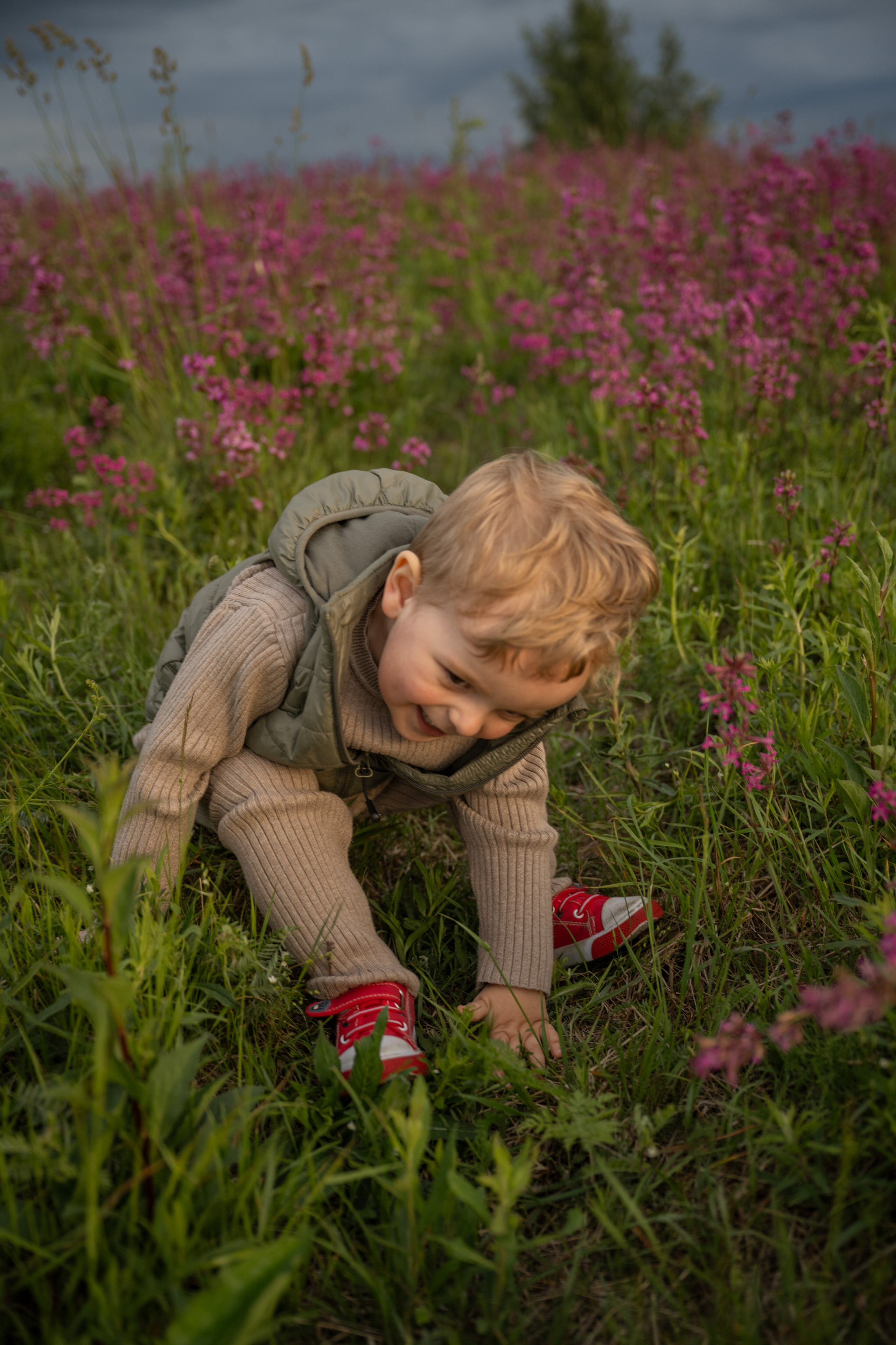 Прогулка на Колтушских высотах. Детский и семейный фотограф в Санкт-Петербурге и Ярославле Павлова Гал