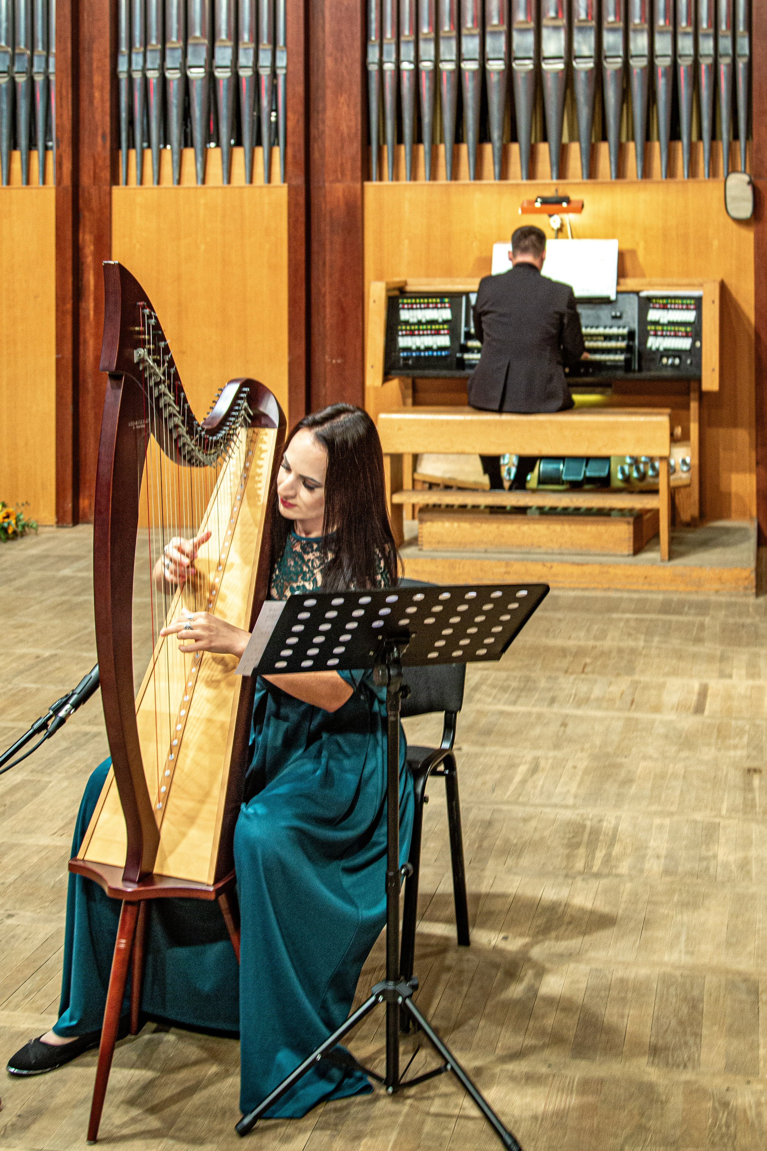 25 фестиваль органной музыки город Сочи. Фотограф в Сочи Юрий Шептаев