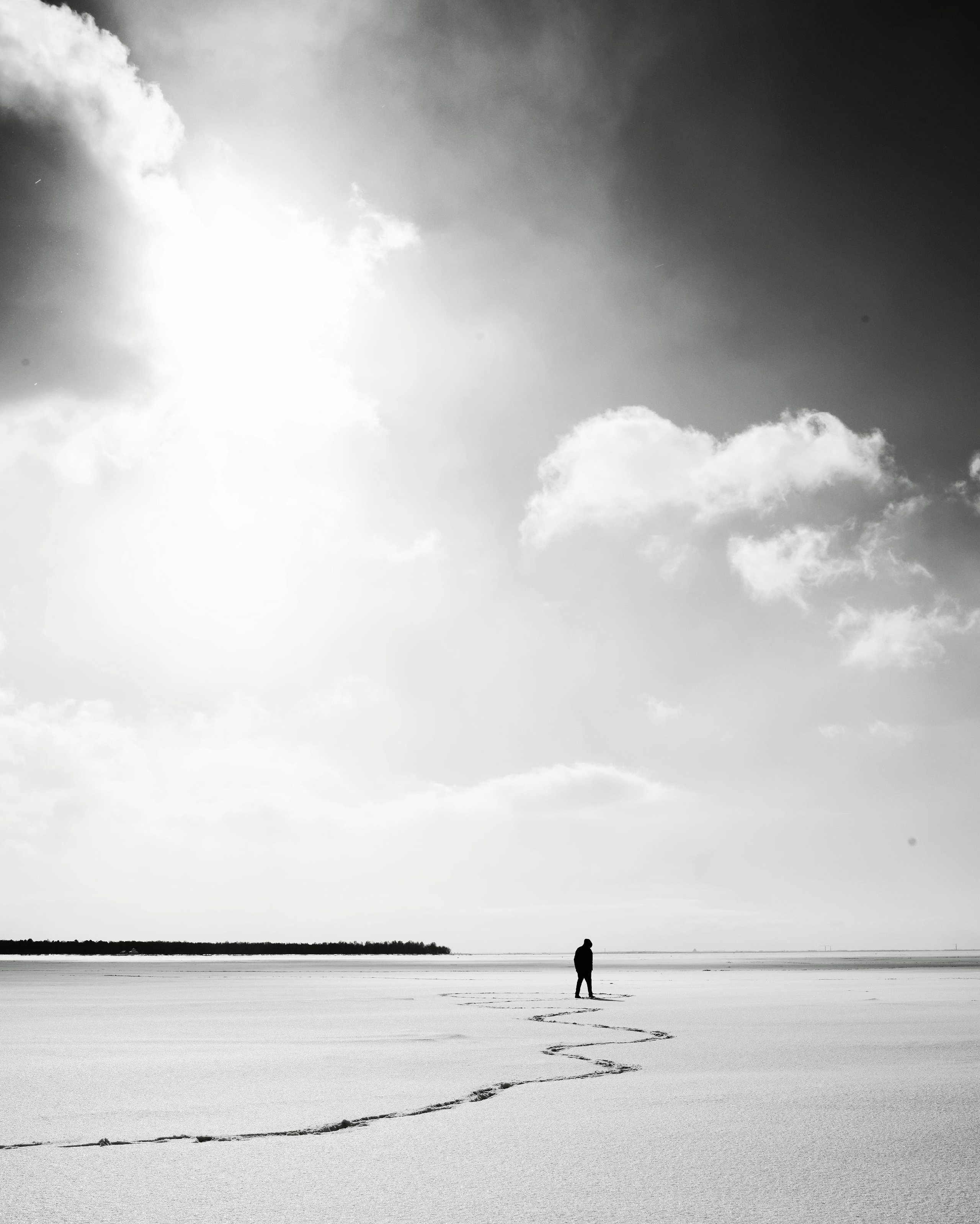 Фотограф Анастасия Дроздова