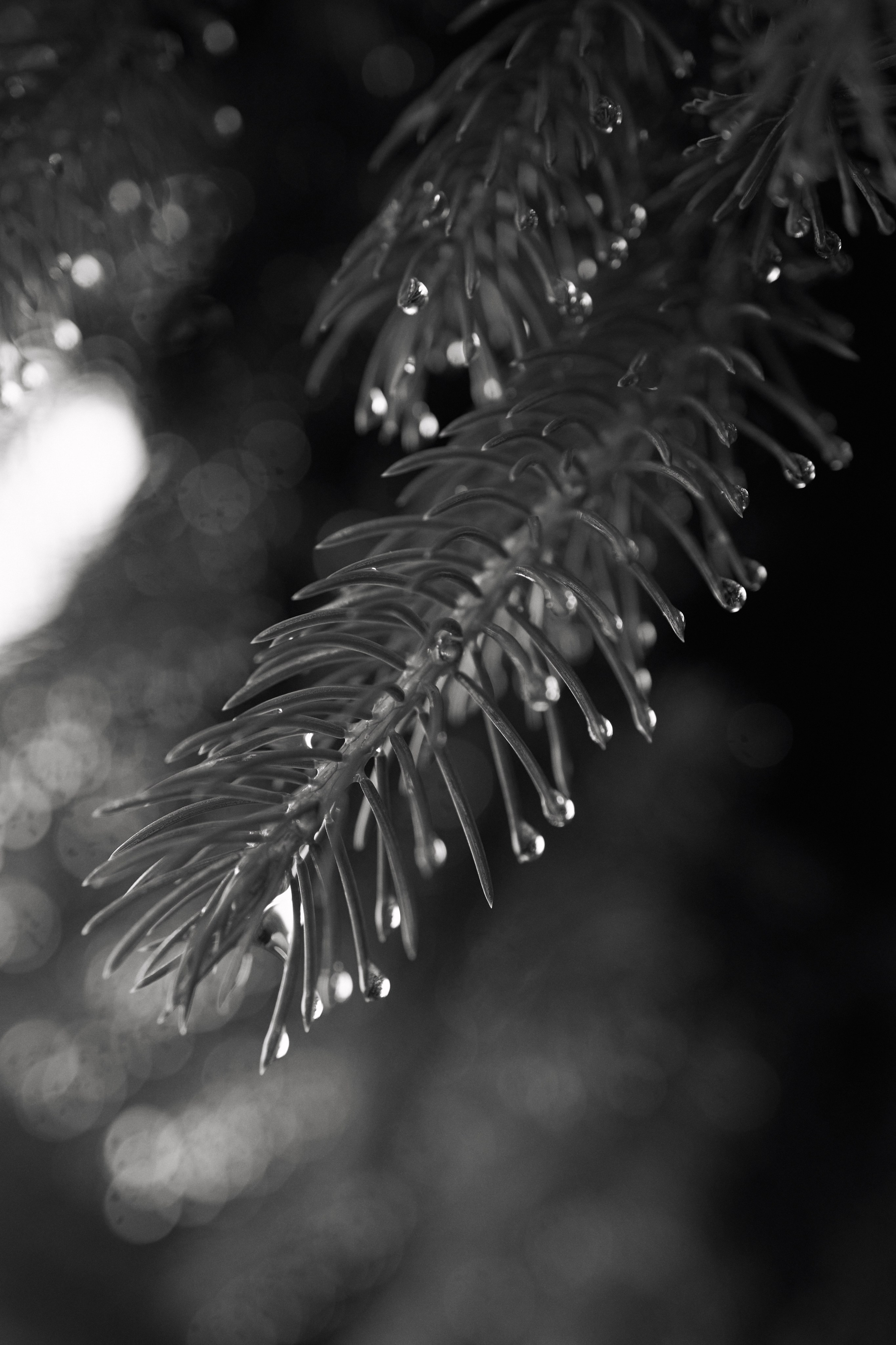 Денис и Наташа