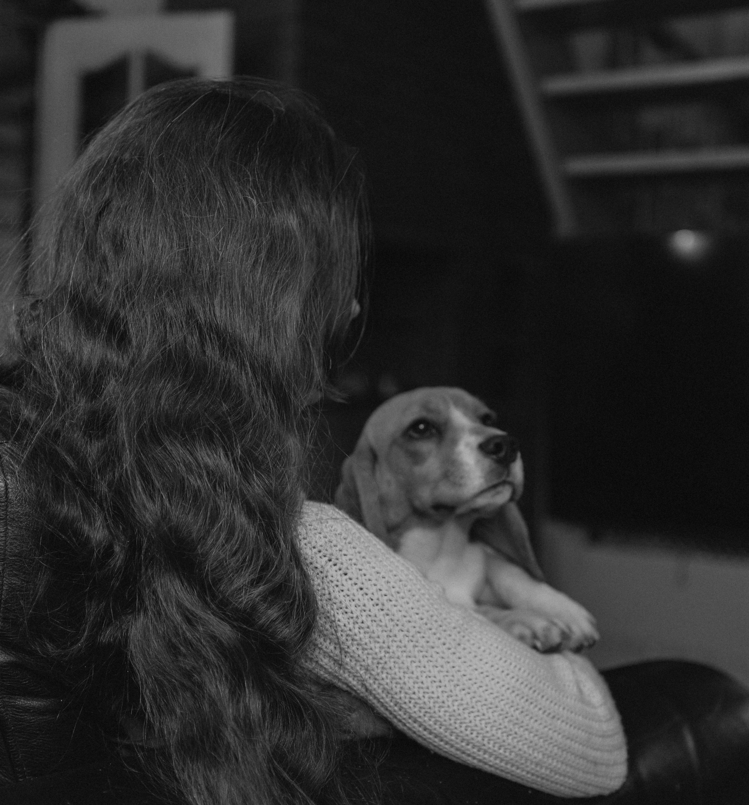 Маша, бигль Вера и её ферма. Семейный фотограф в Москве Алёна Чача