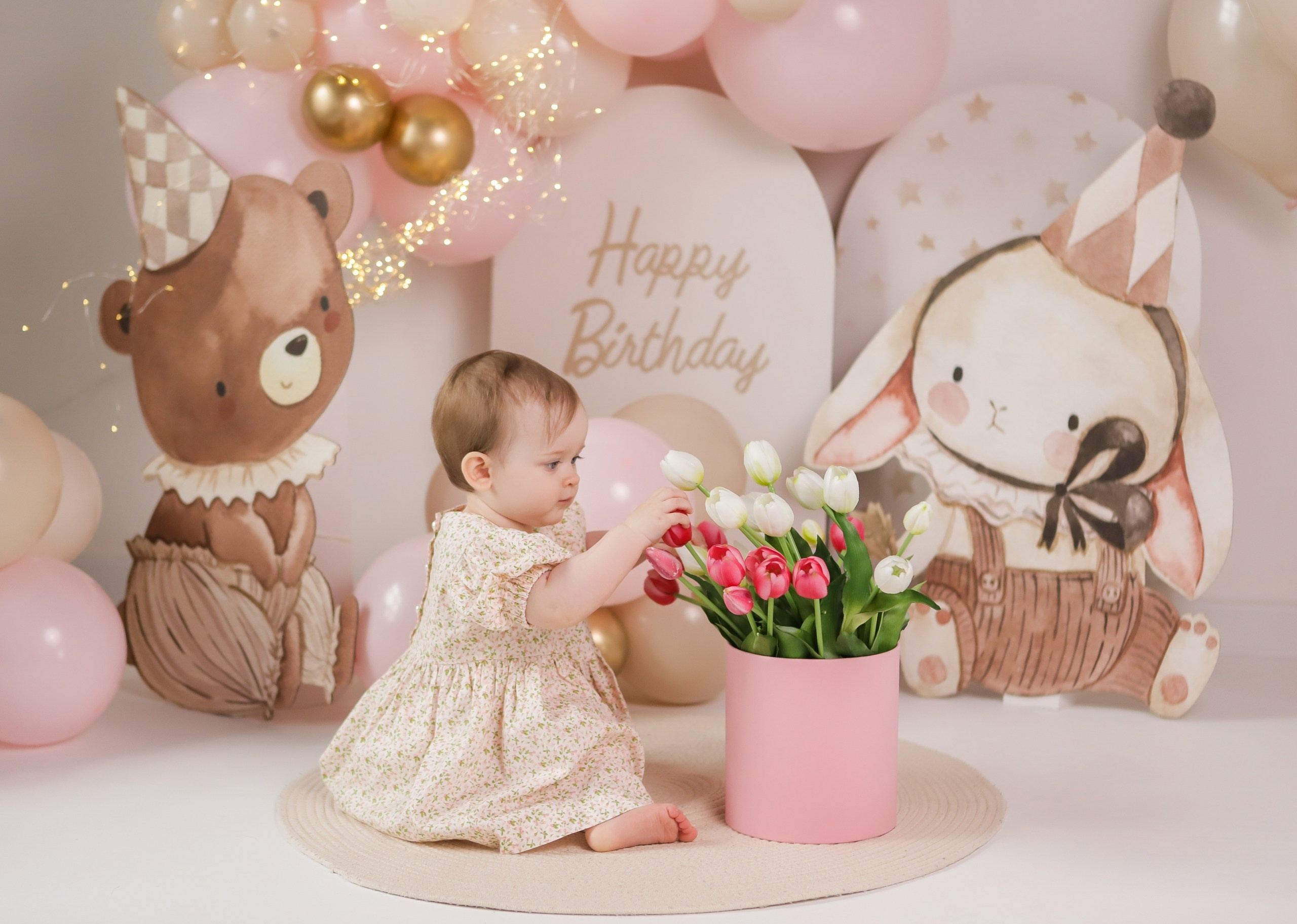 Детский День рождения. Фотостудия «Птичка» Мытищи,