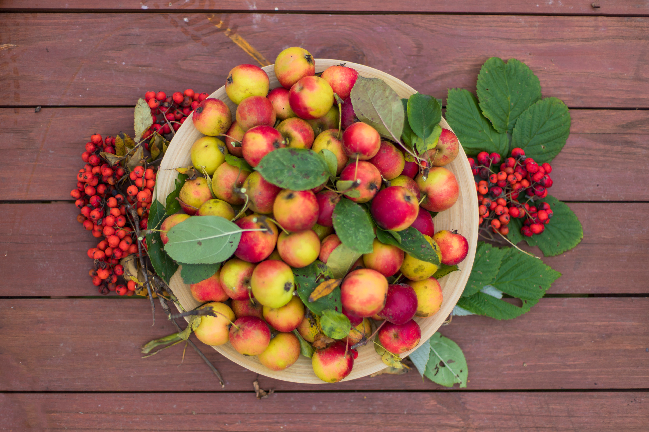 Осень. Детский и семейный фотограф Калугина Марина | Москва и МО