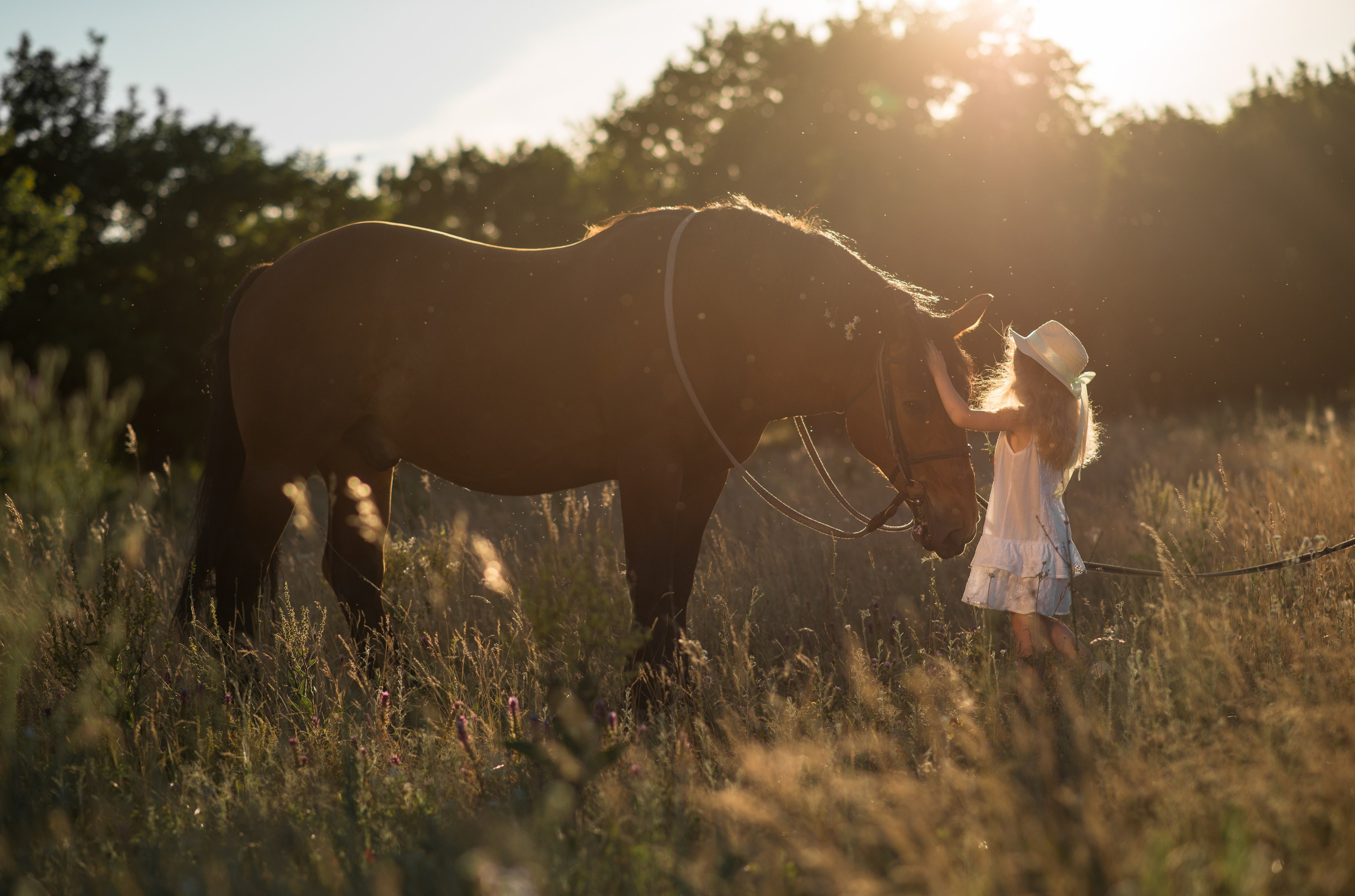 Дети и лошади. Конный фотограф в Саратове Юлия Иванова