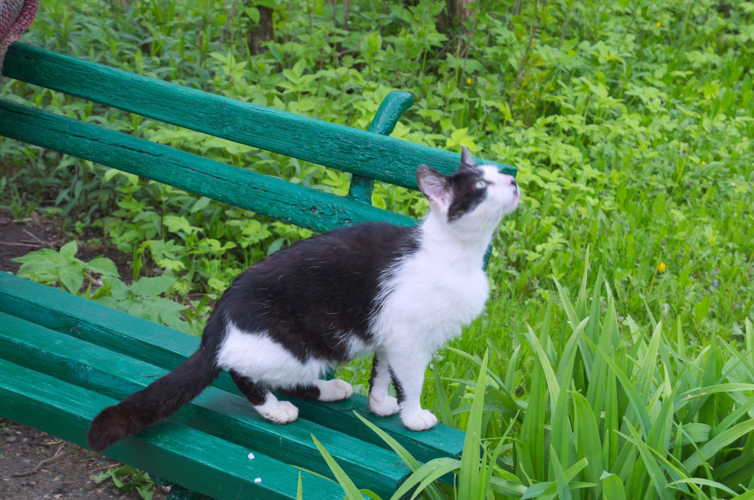 Мелихово | 21.05.2017. Галерея Фантим