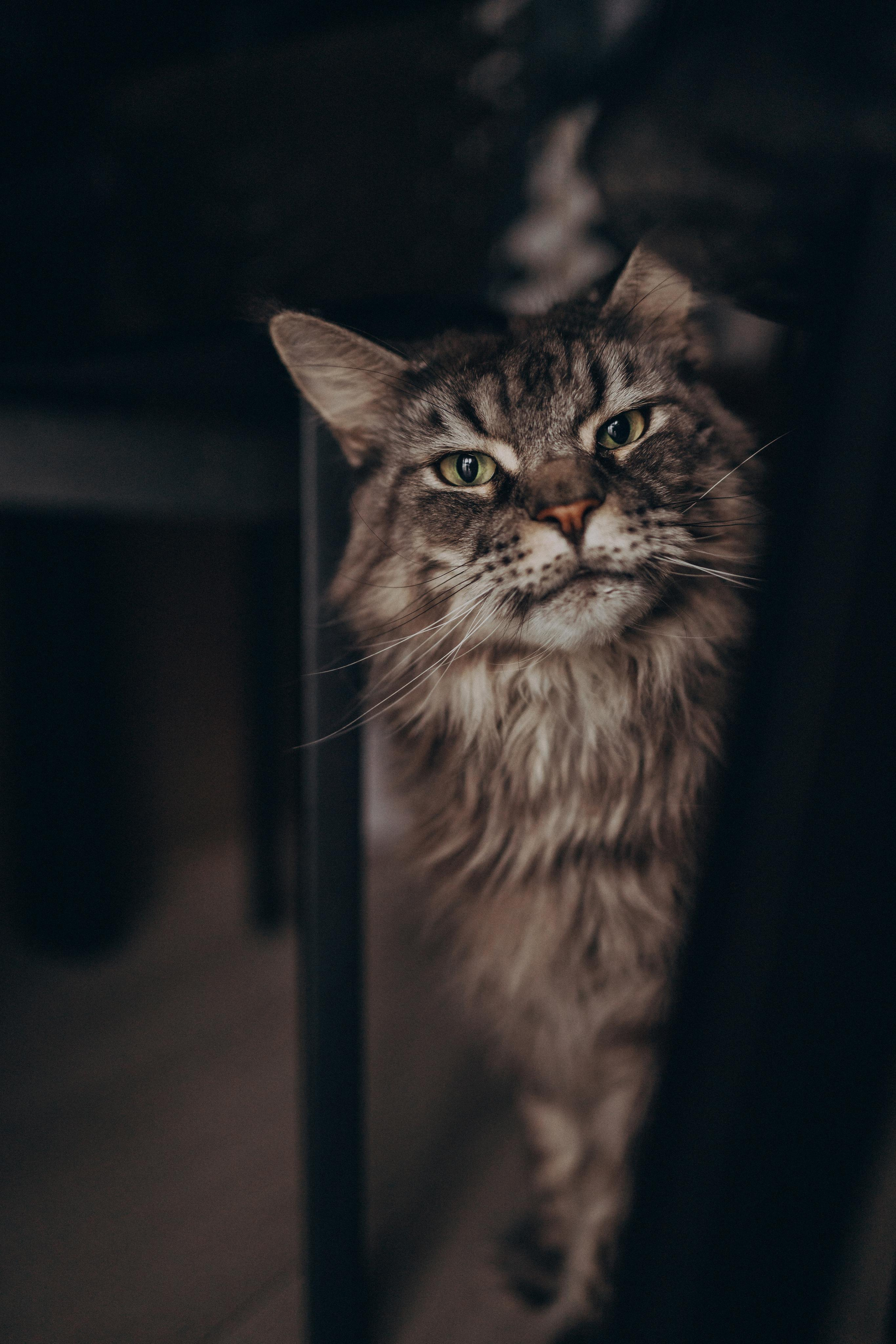 Съёмки дома. Детский и семейный фотограф — Калининград — Юля Насифуллина