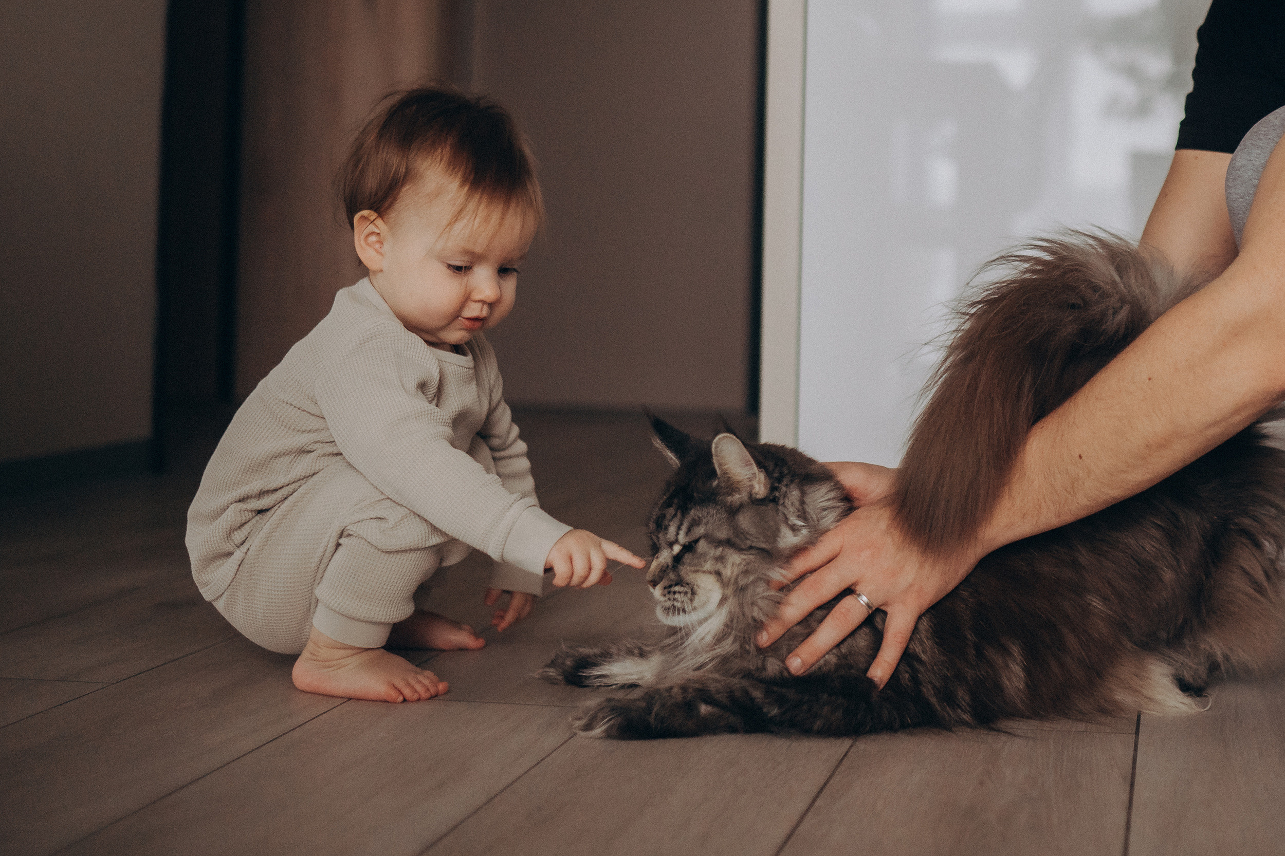 Съёмки дома. Детский и семейный фотограф — Калининград — Юля Насифуллина