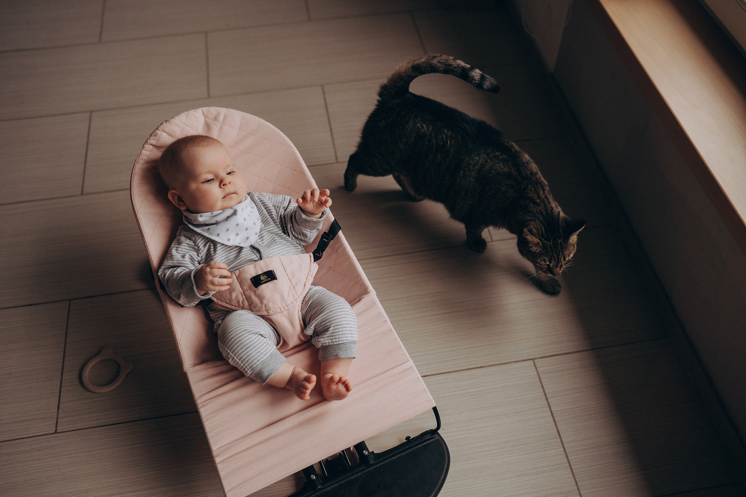 Съёмки дома. Детский и семейный фотограф — Калининград — Юля Насифуллина