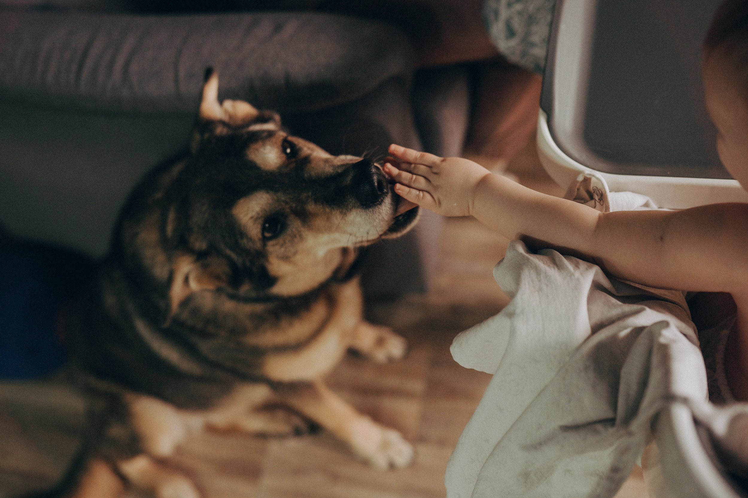 Съёмки дома. Детский и семейный фотограф — Калининград — Юля Насифуллина