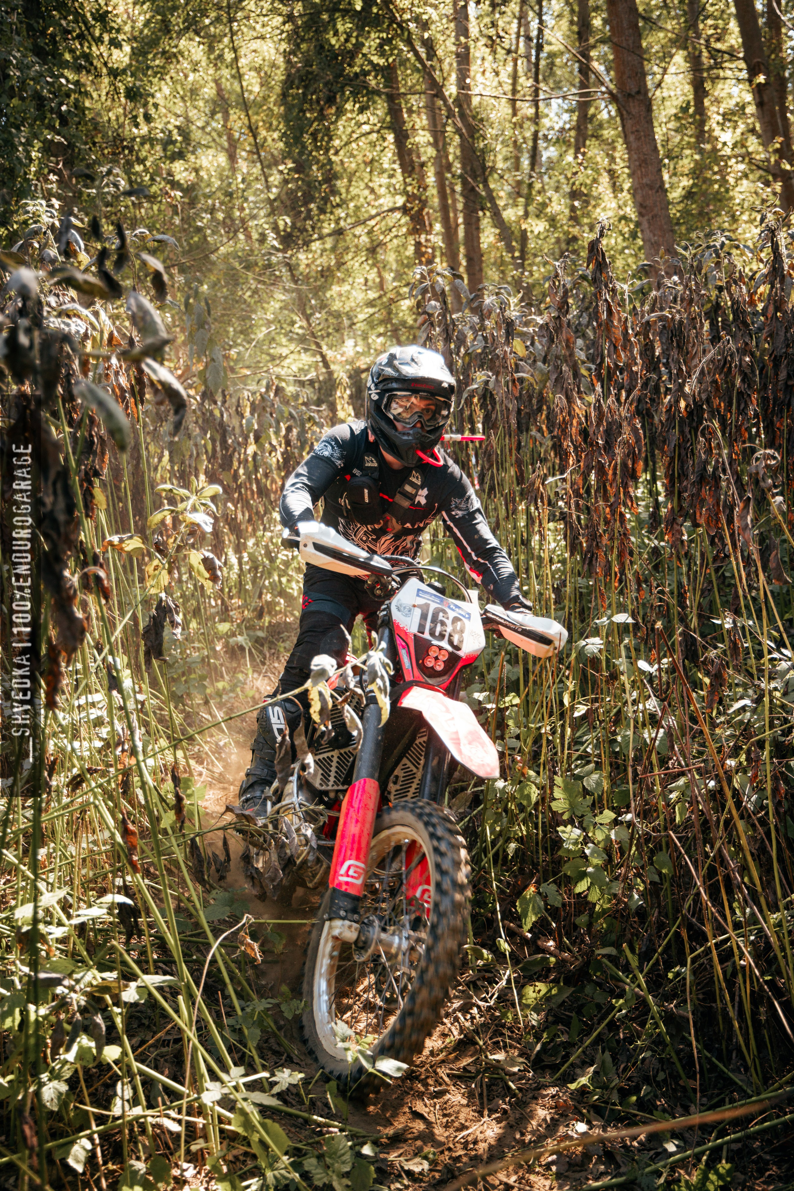 1 лесной день. Ваш экстрим фотограф Кудрева Яна