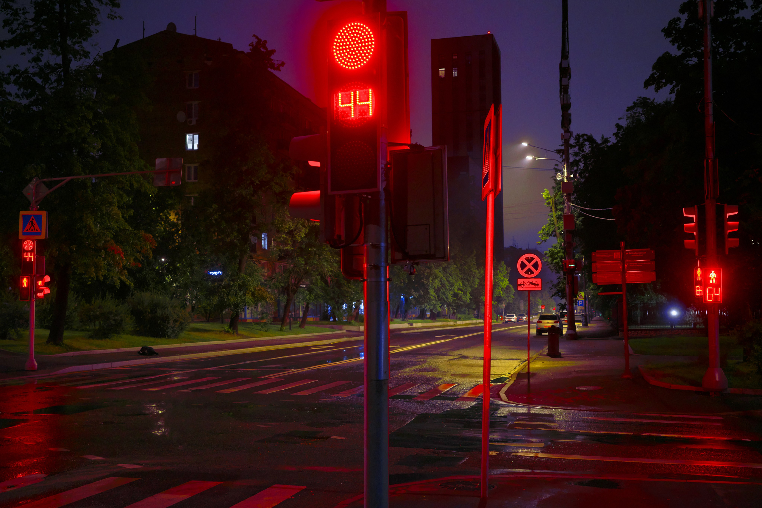 После дождя 🌧️. Миша Печёнкин | фотография