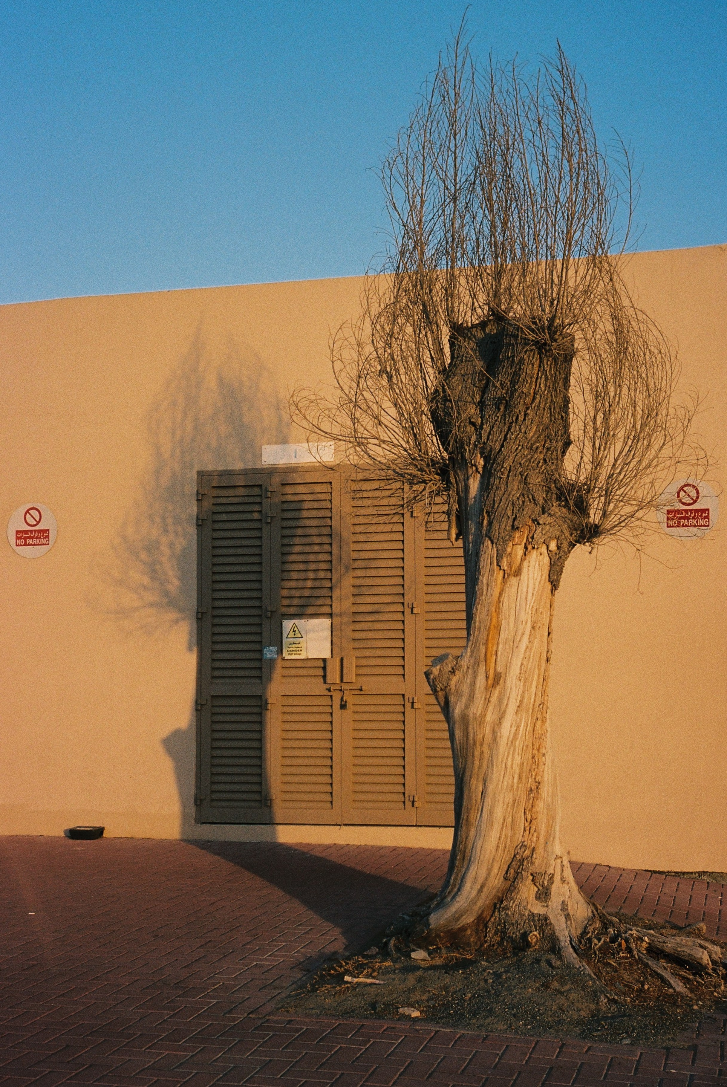 Shadows. Katyavasileva