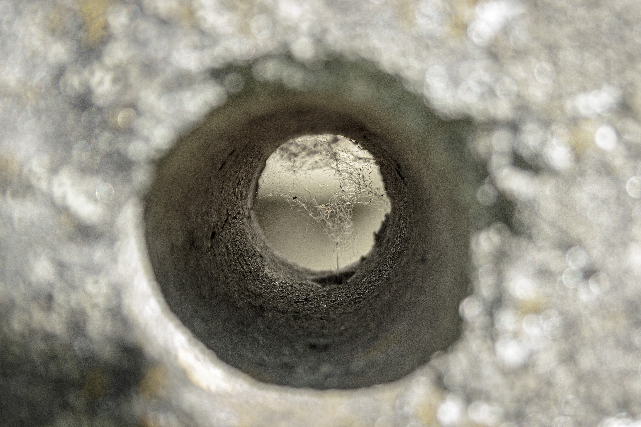 Сказка — Быль. Аmat Victoria Сuram