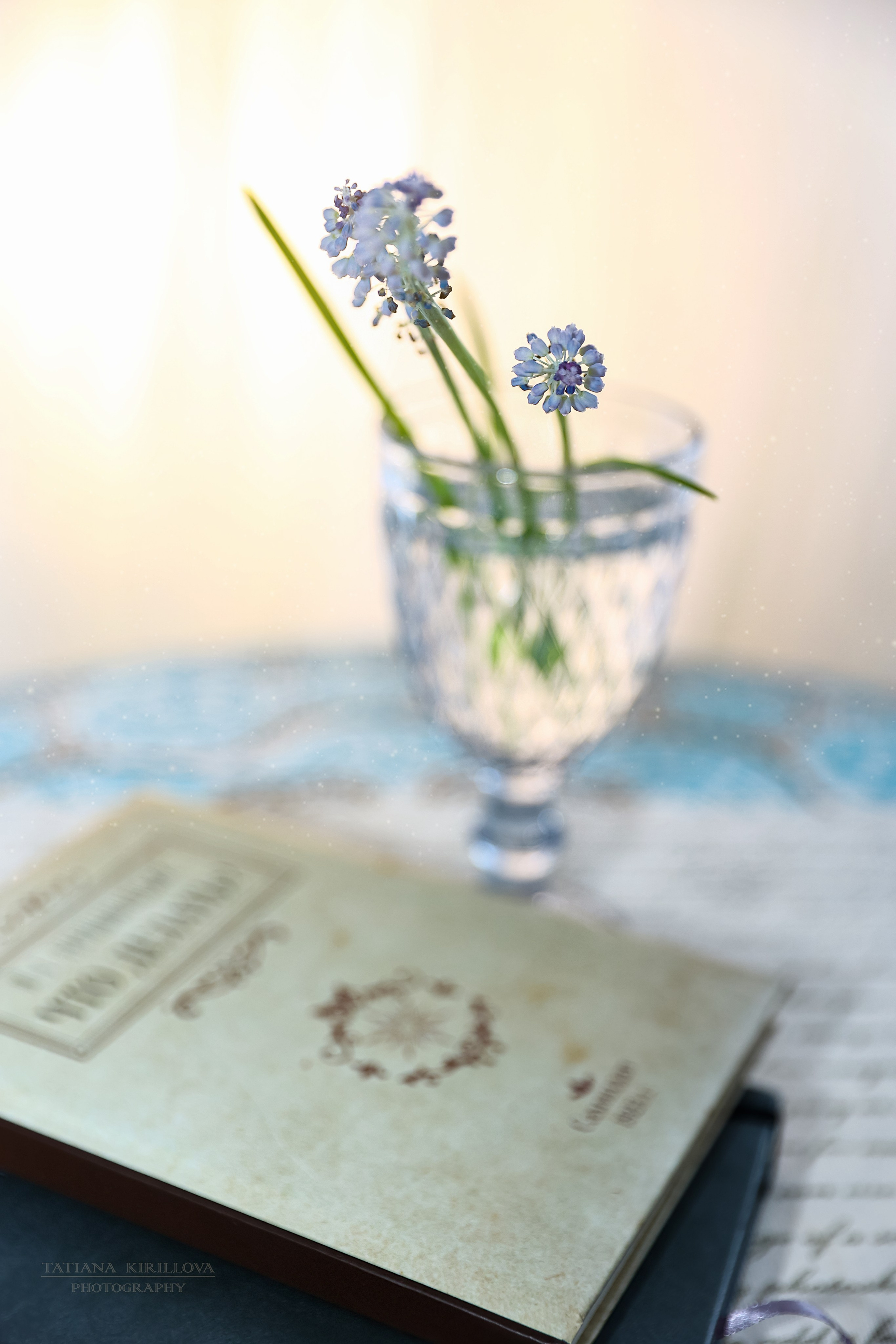 Предметная съемка, цветы, открытки. Фотограф — Татьяна Кириллова, г. Санкт-Петербург