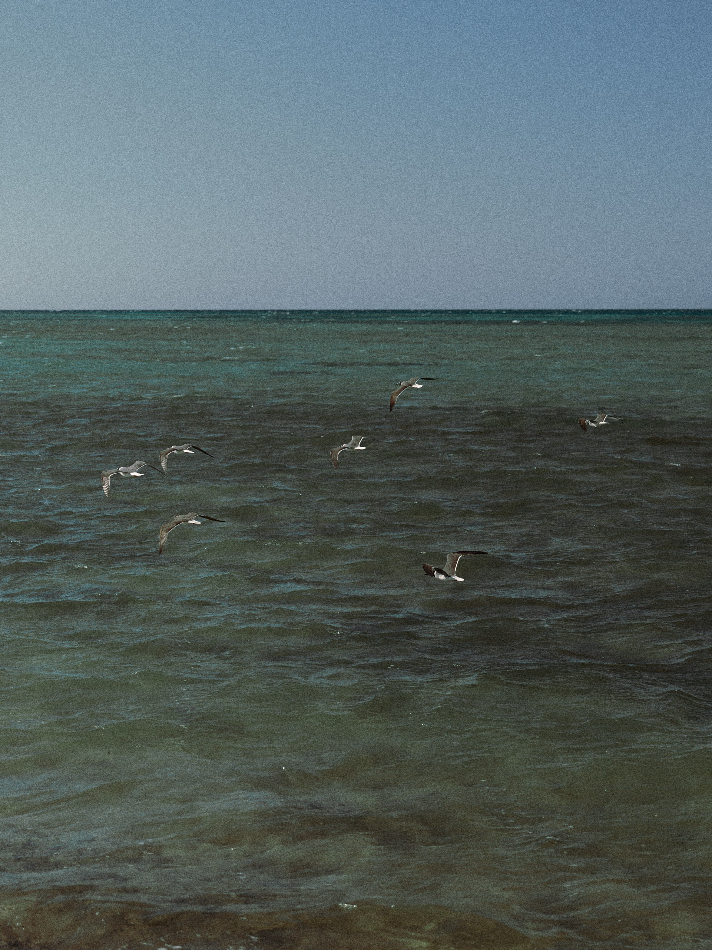 Природа. Jorgis Talè — photographer, kind person, teacher of arts and other mag