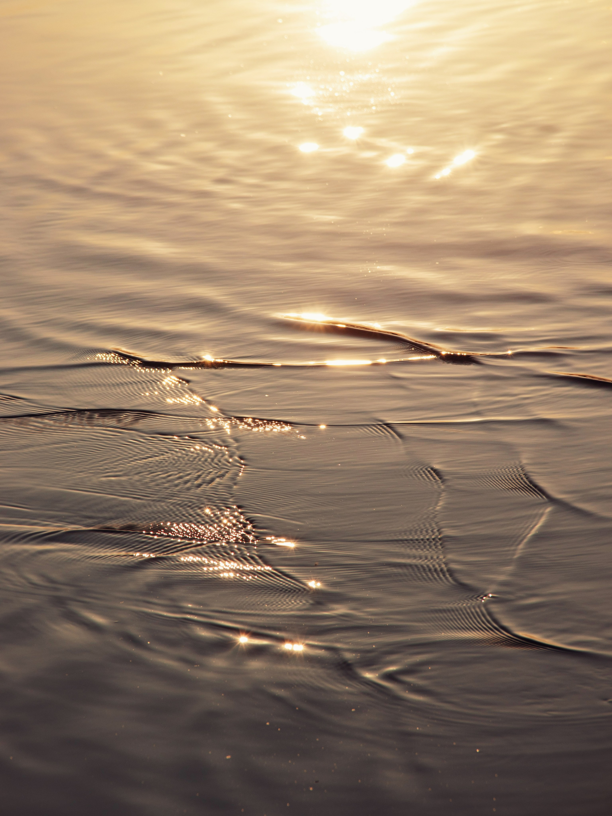 Жидкое золото. С любовью, фотохудожник