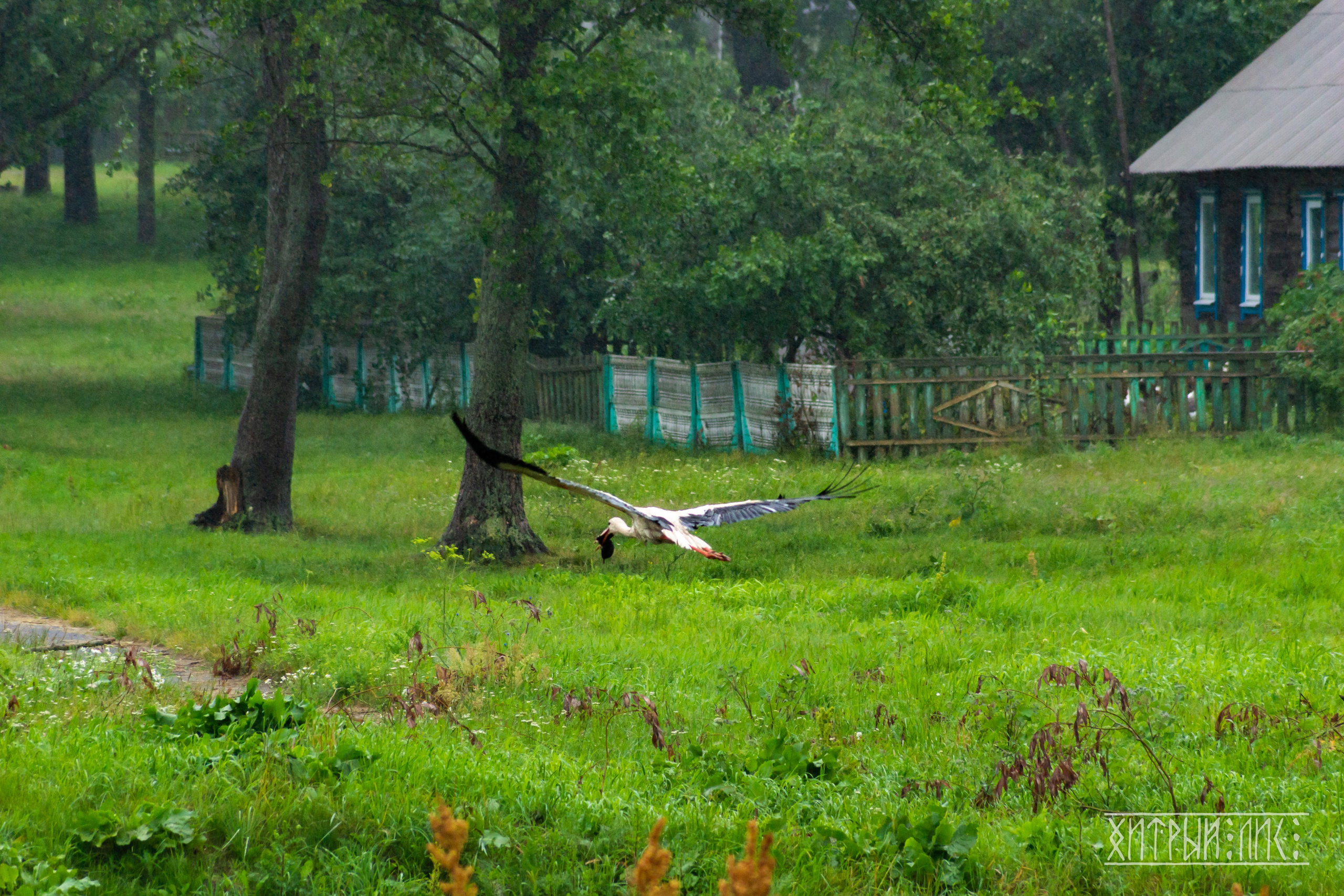 Беларусь. Фотограф-путешественник Самойлов Максим «Sly Fox»