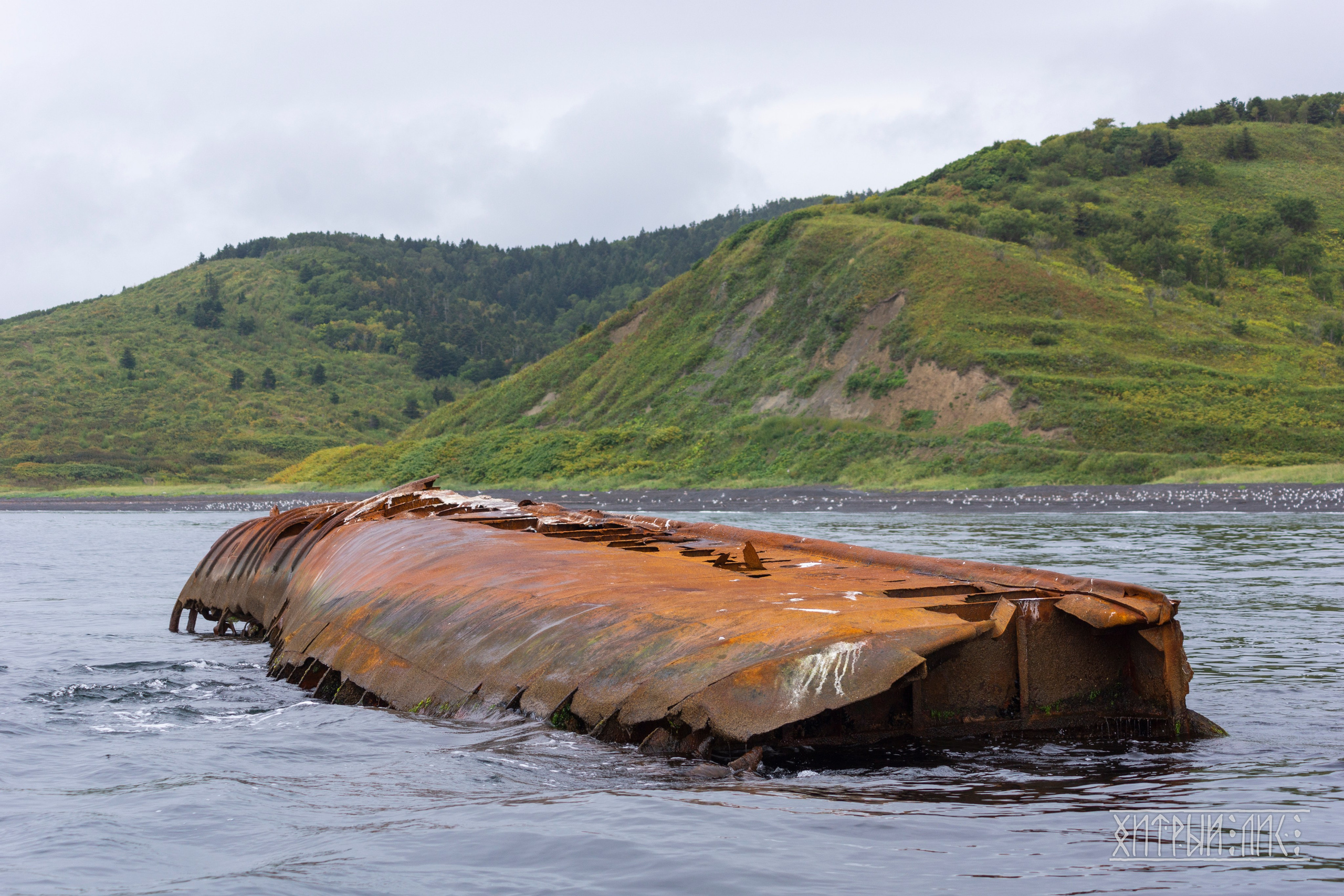 Сахалин. Фотограф-путешественник Самойлов Максим «Sly Fox»