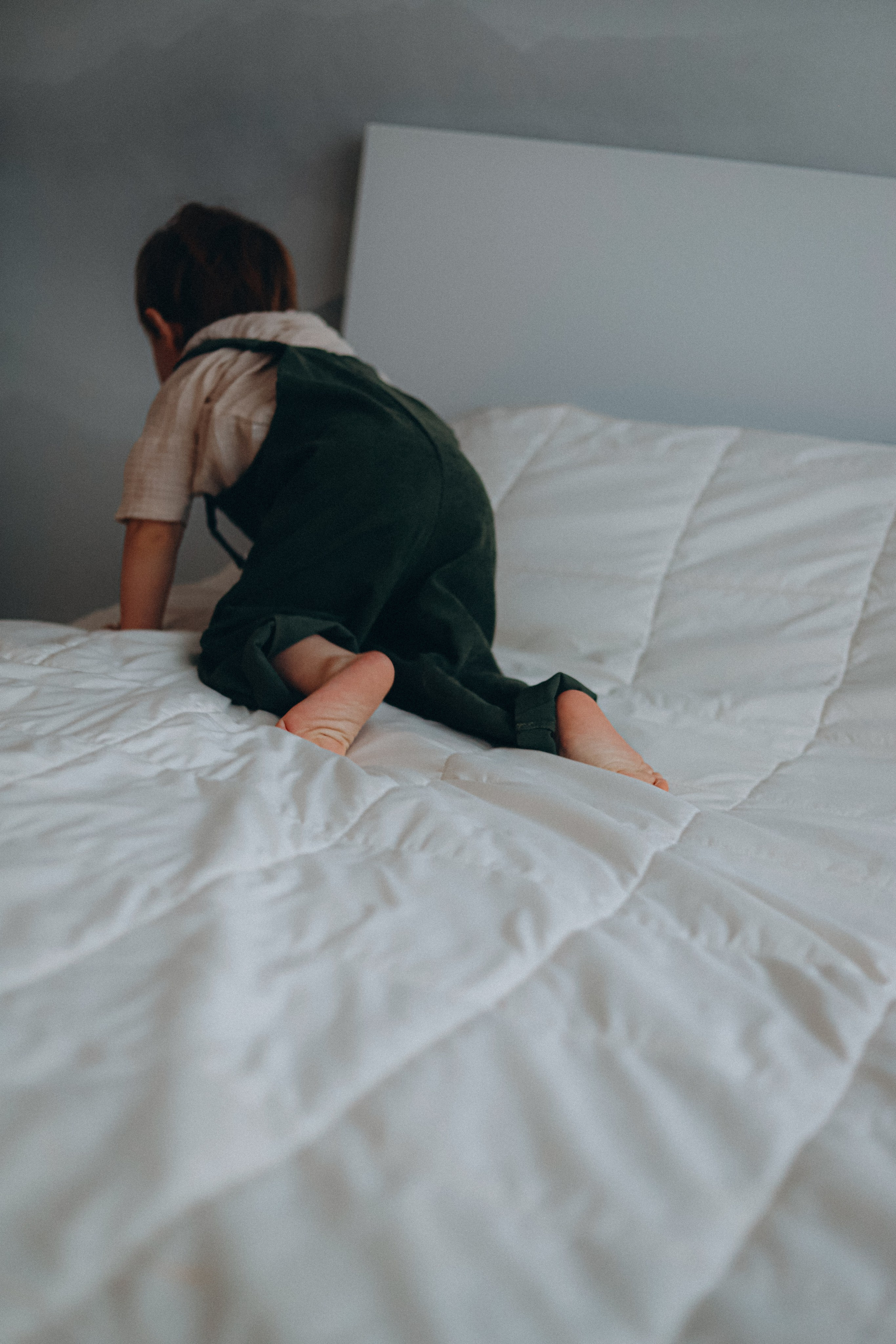 Домашняя новогодняя история. Алексей+Ксения+Дима. Услуги