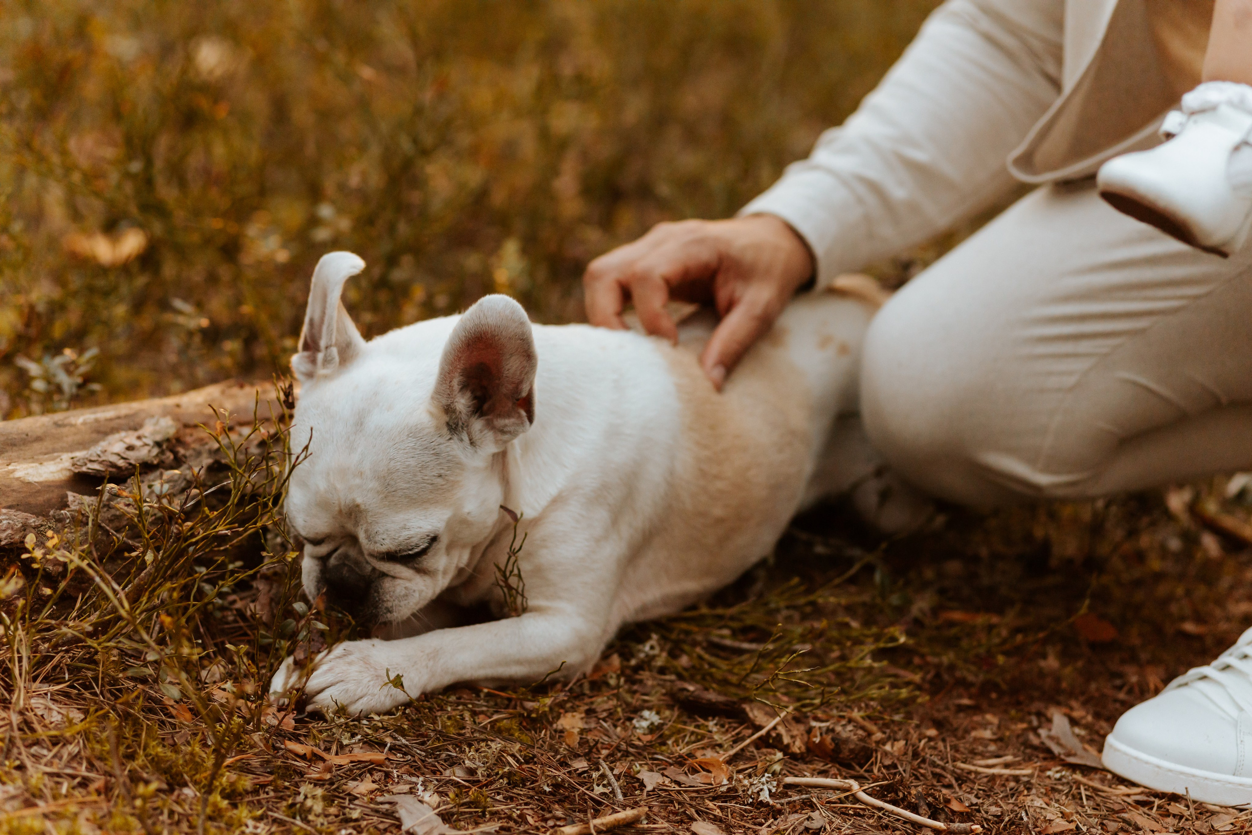 Семейная фотосессия. Фотограф Тверь. Свадебные, семейные, индивидуальные фотосессии