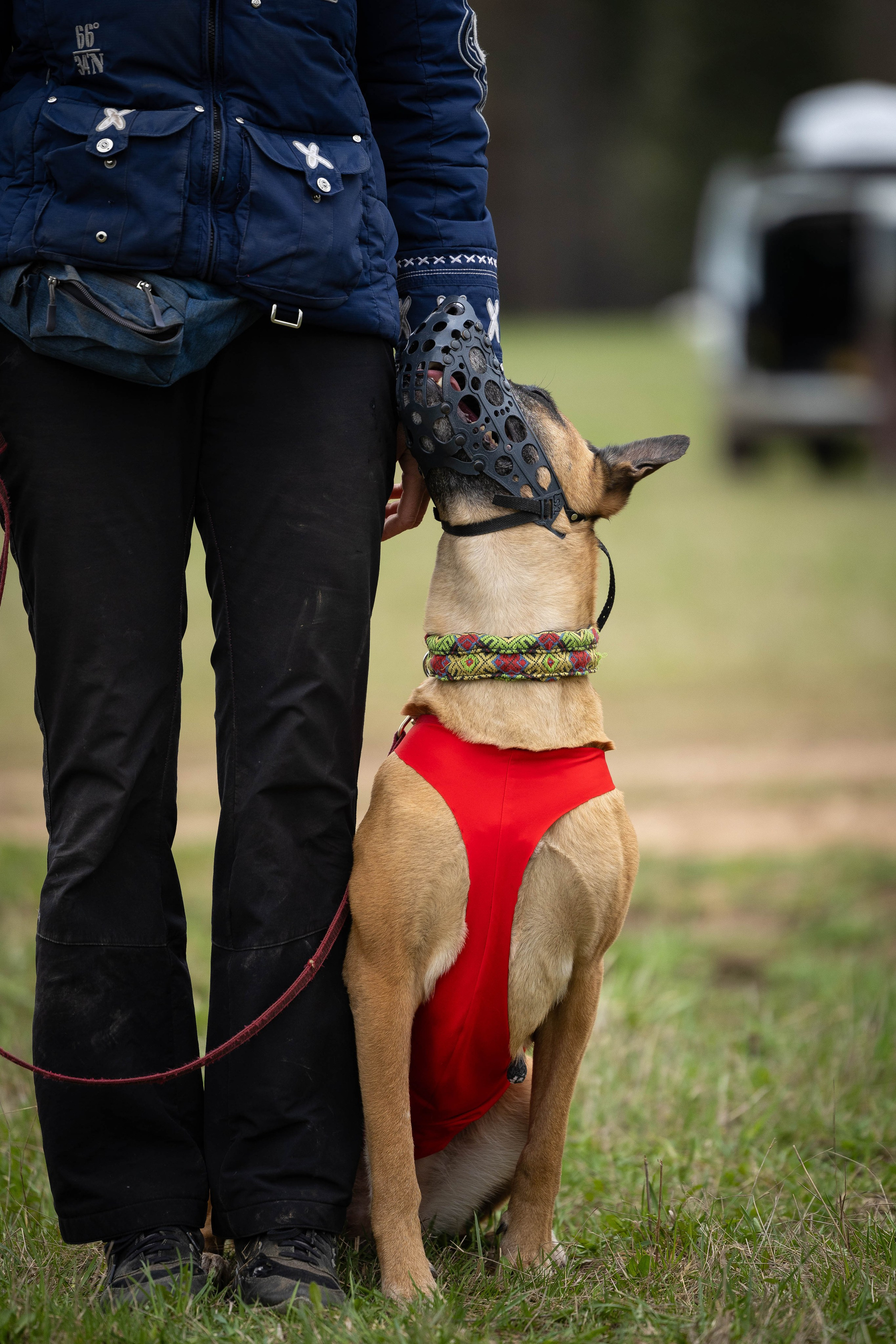Курсинг. Фотограф Анималист в Перми Анастасия Остерман