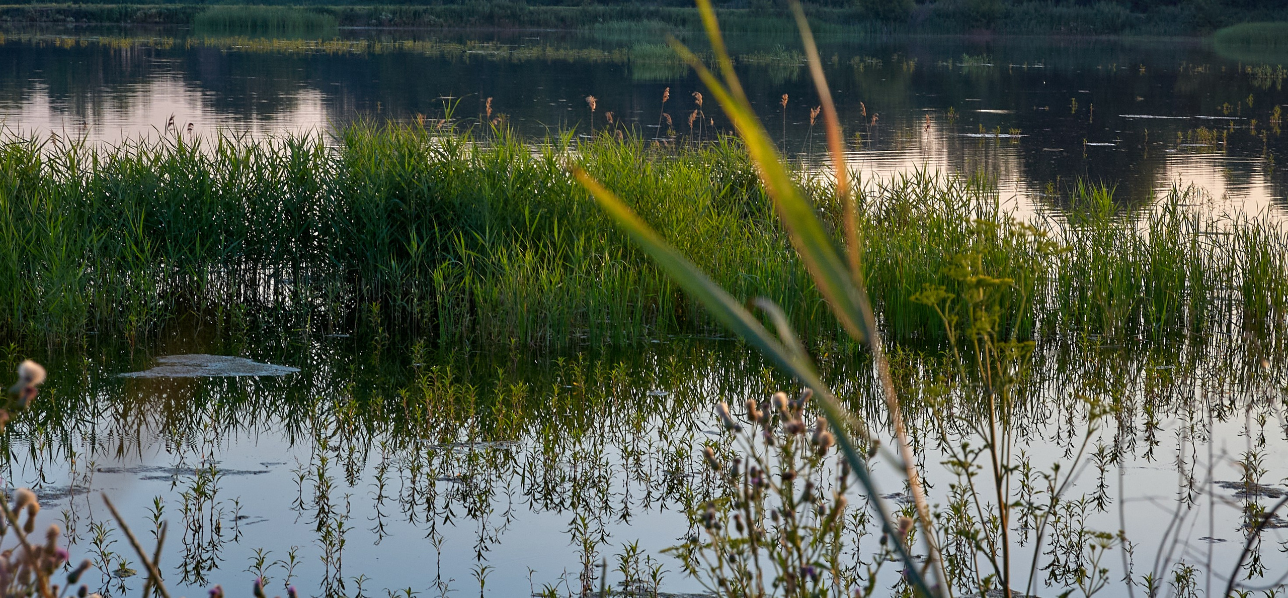 Искусство пейзажа: гармония природы в фотографиях. Координаты красоты — география в фокусе