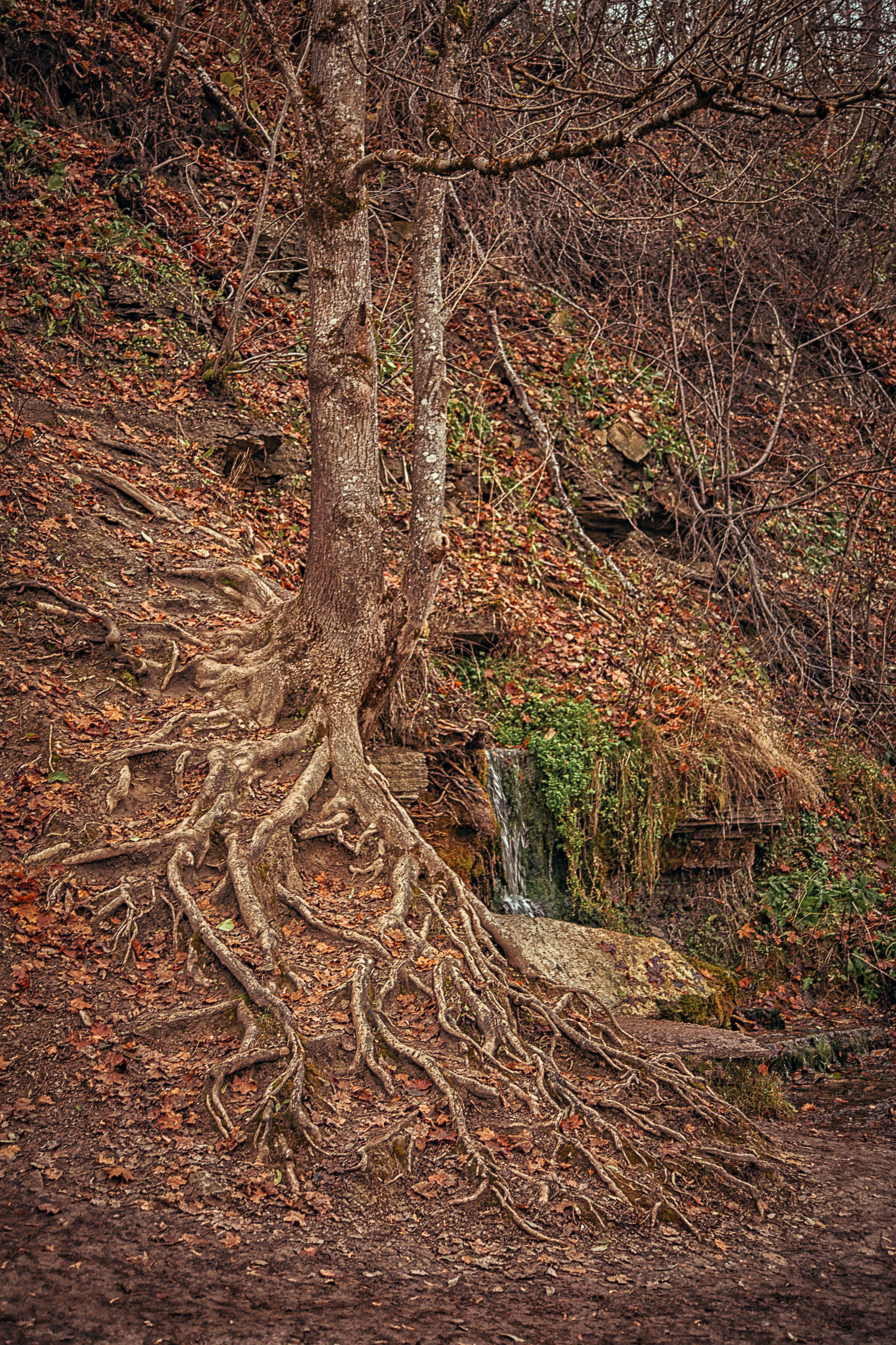 Изборск. Семейный и детский фотограф в Москве Ольга Кривенцова