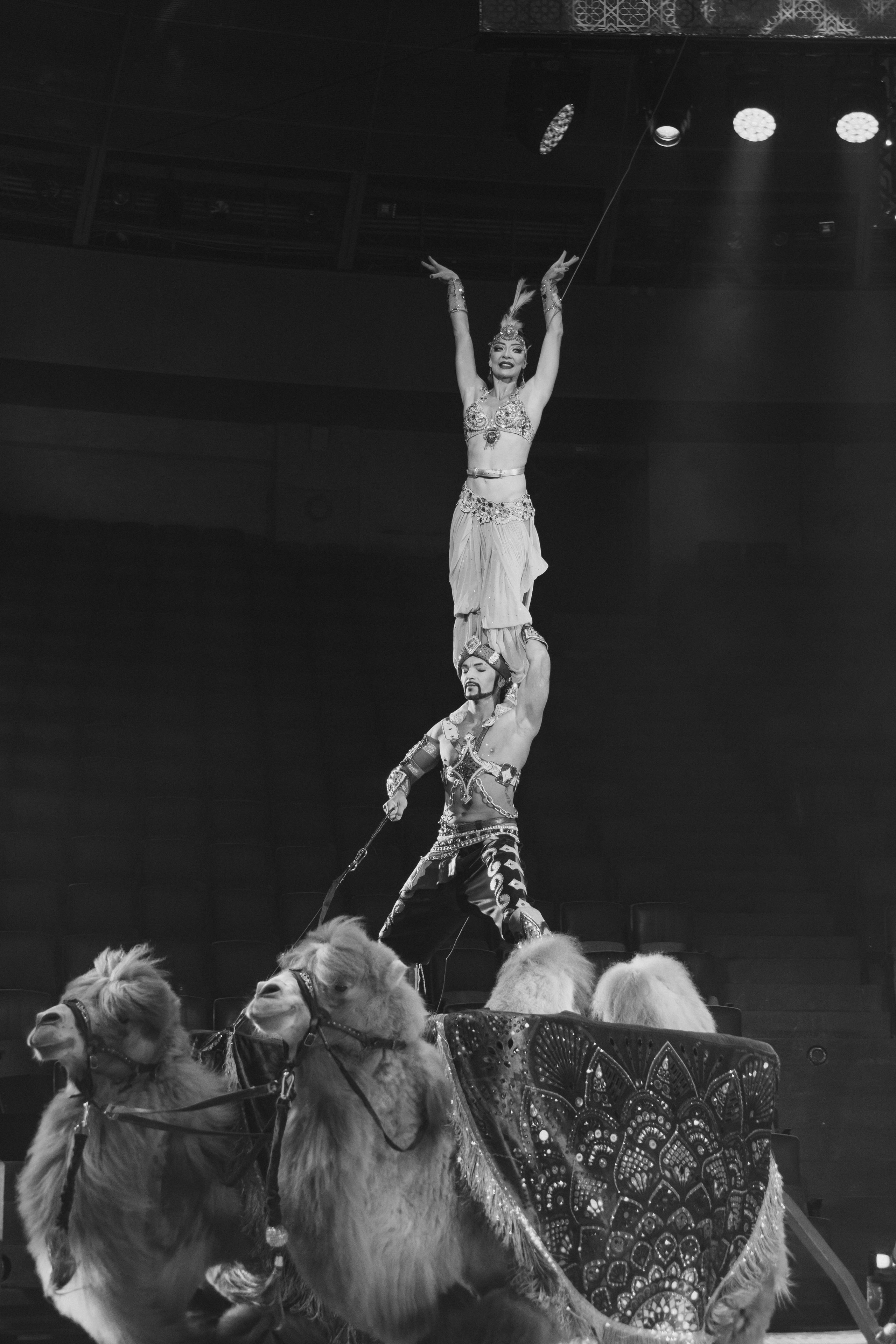 Цирк Гии Эрадзе «Песчаная Сказка». Ваш фотограф в Нижнем Новгороде