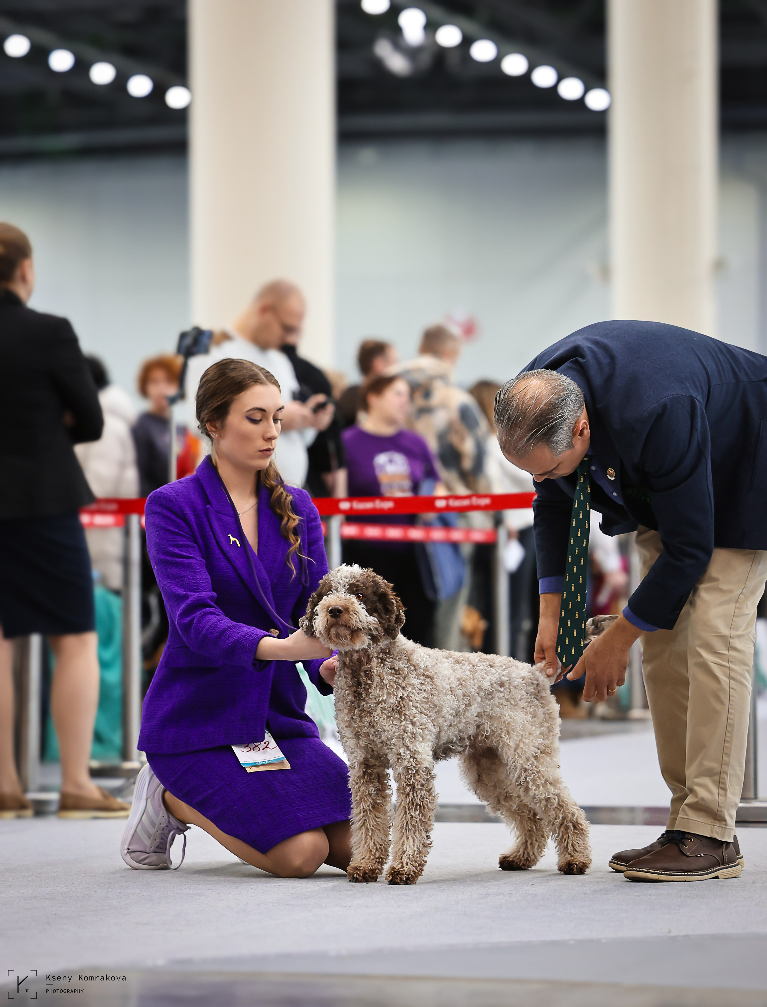Съемка собак. Анималистика. Репортаж. Индивидуальная съемка