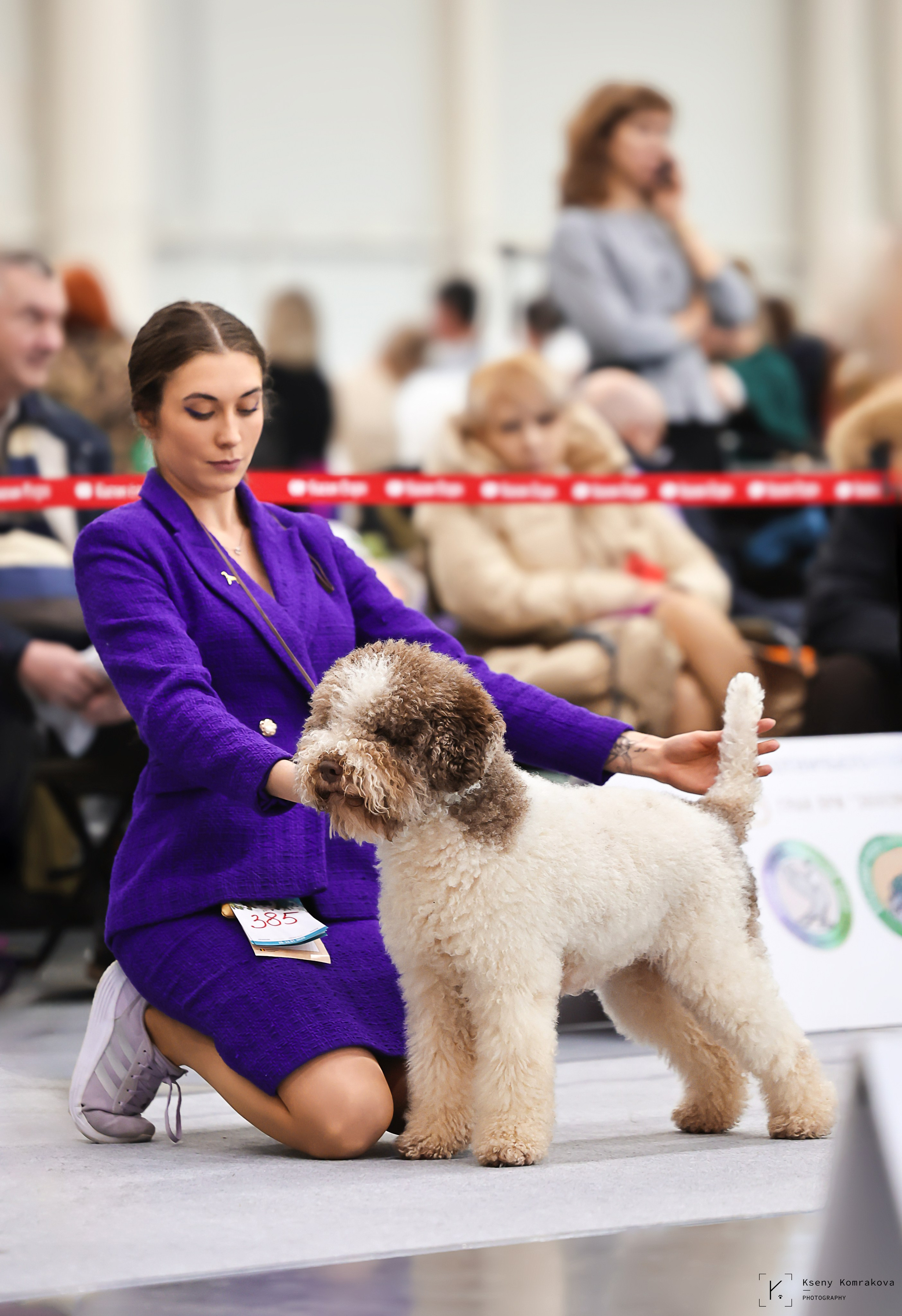 Съемка собак. Анималистика. Репортаж. Индивидуальная съемка