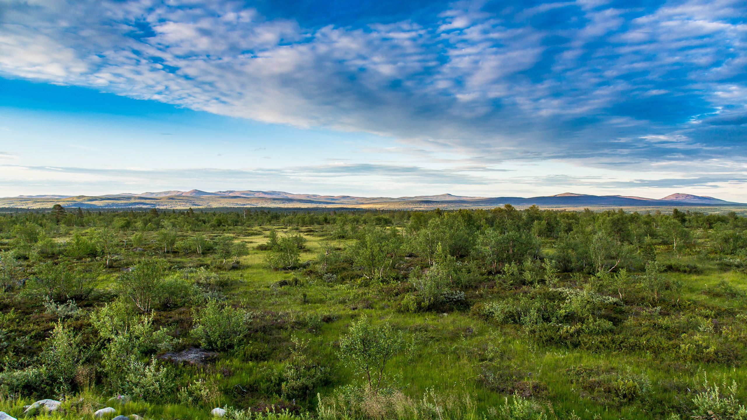 Тундра Лес и Сопки. Пейзажи Крайнего Севера. Баренцево море, Рыбачий, Средний, Немецкий