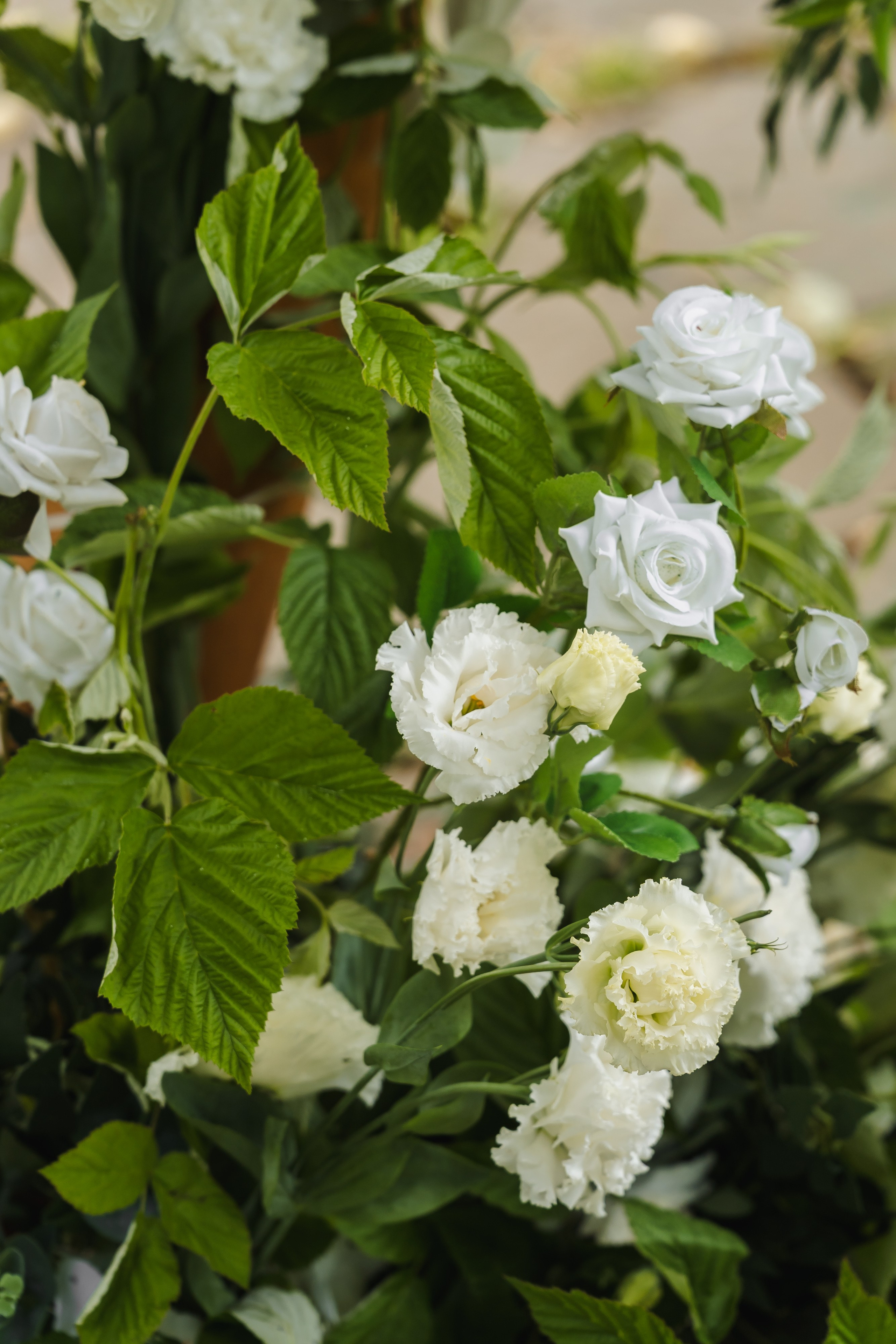 Свадьба Максима и Насти. Свадебный фотограф в Москве Яна Деньгина