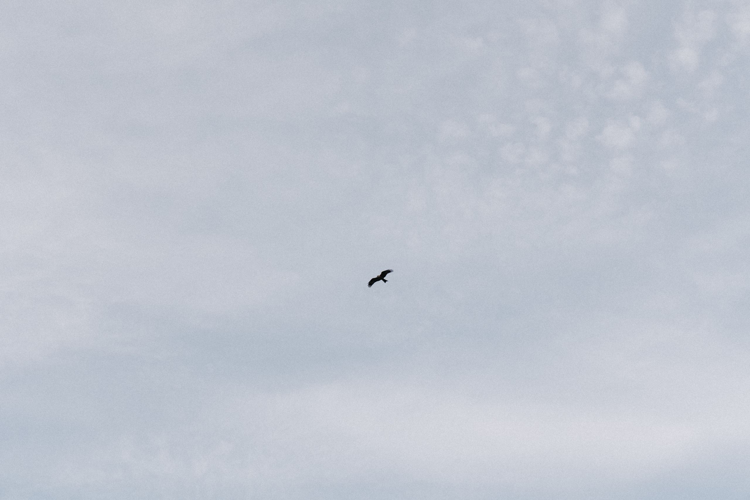 Кораблики. Свадебный и семейный фотограф в Самаре Посконнова Анна