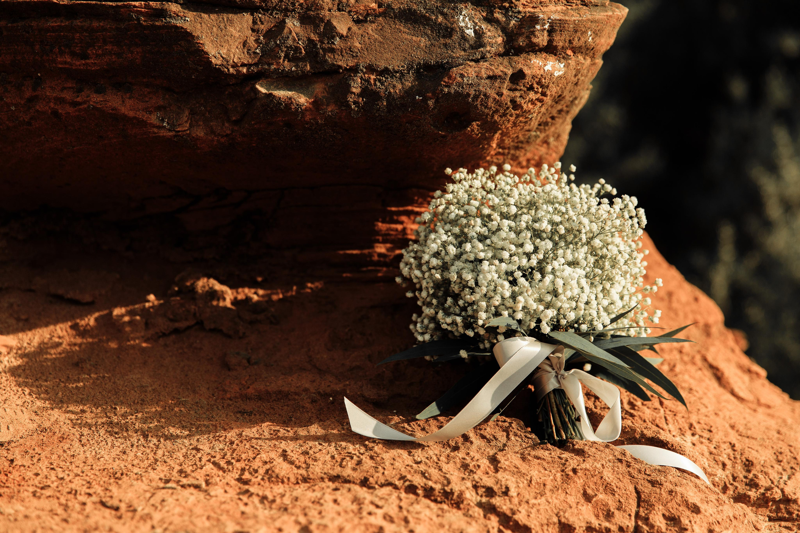 Фотограф Саратов